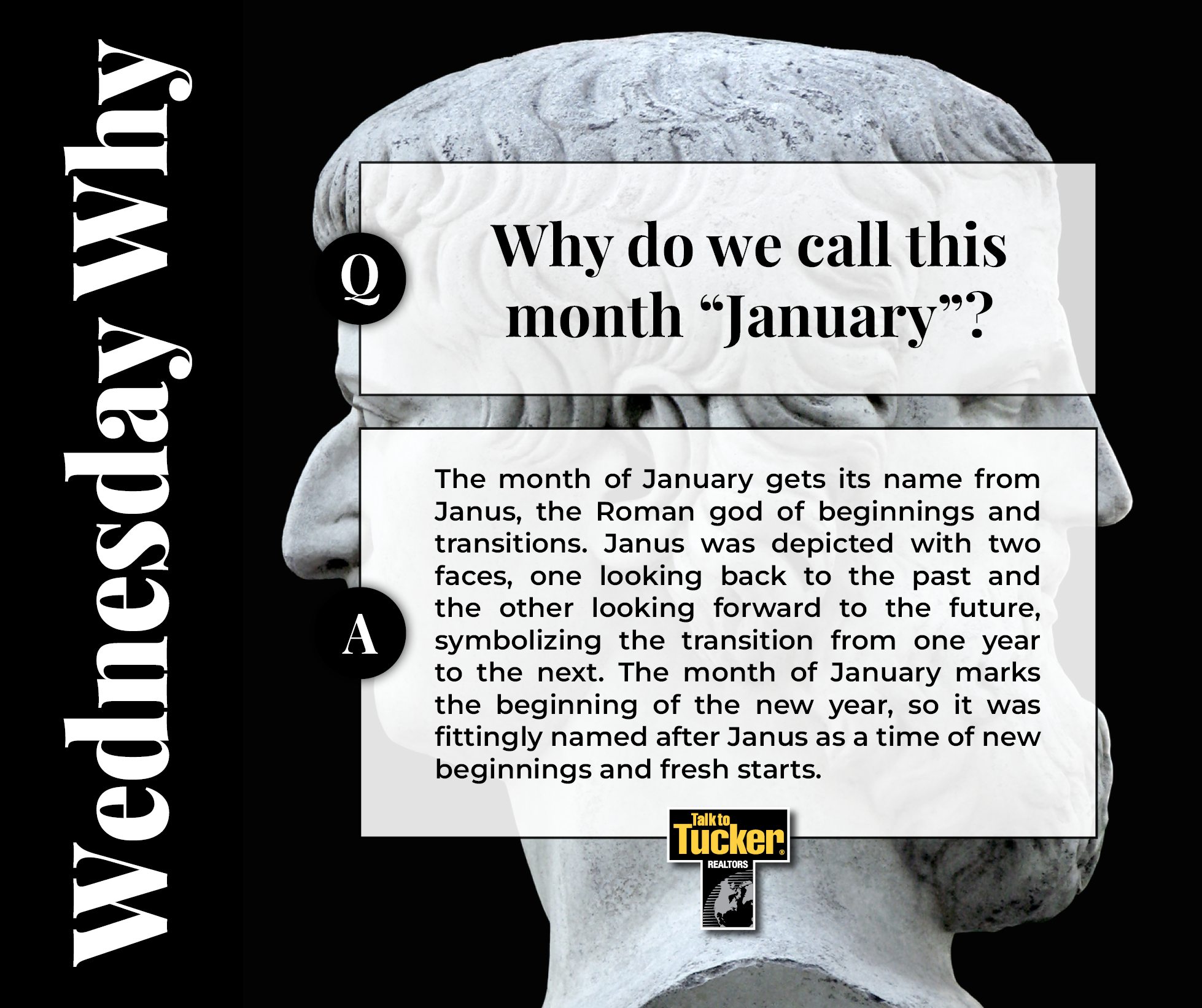 Team - 🌟 #WednesdayWhy: The Origin of 