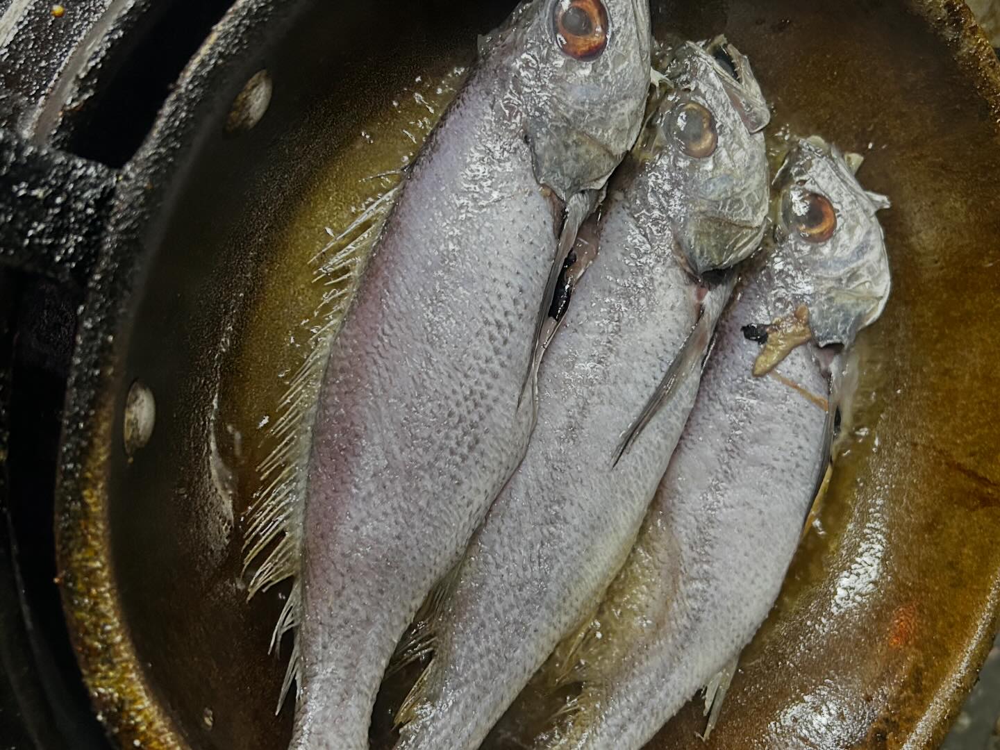 堯馨飯店 | Taichung