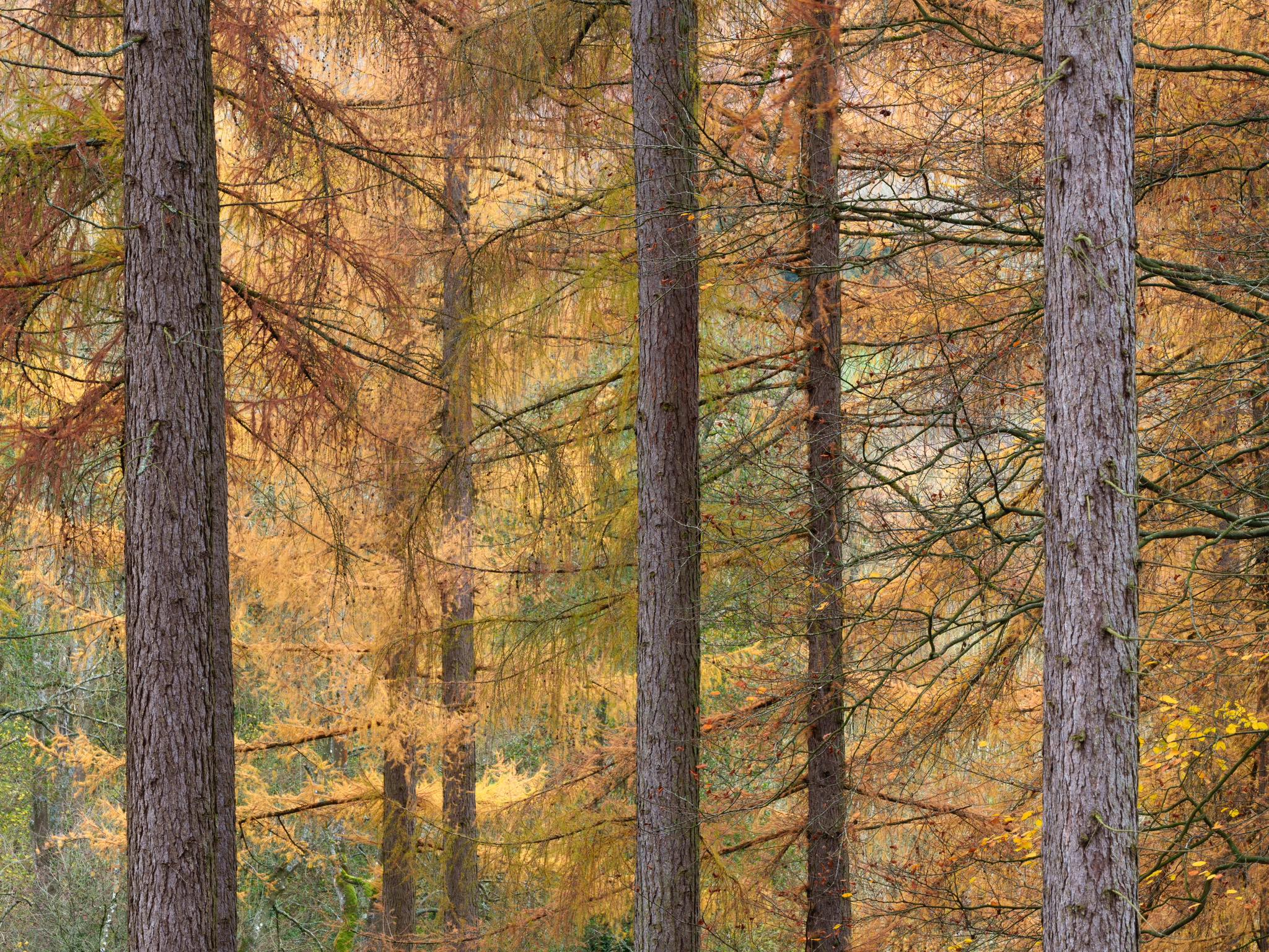 Tom Blockley Photographer