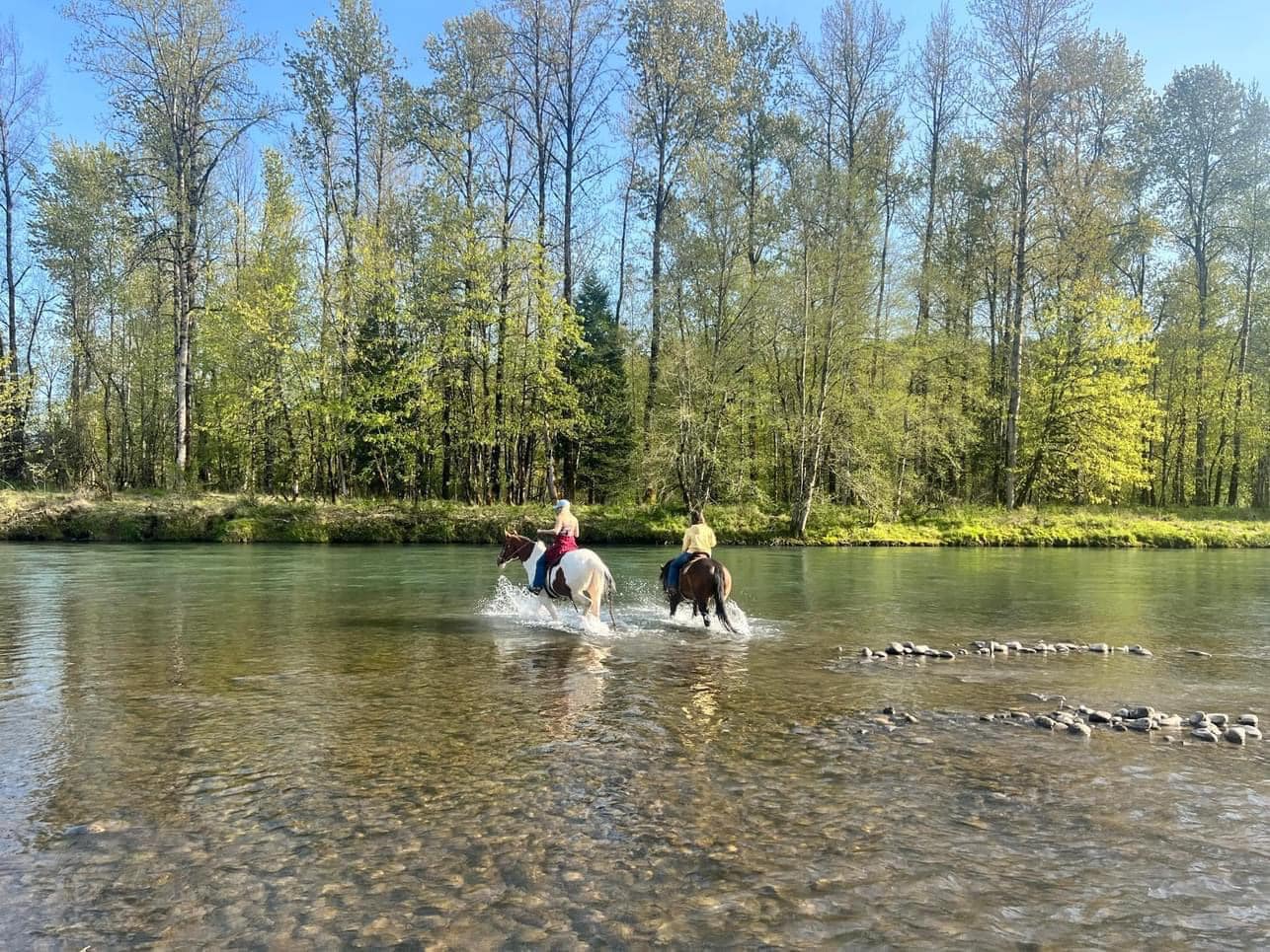 River Rock Ranch | Springfield OR