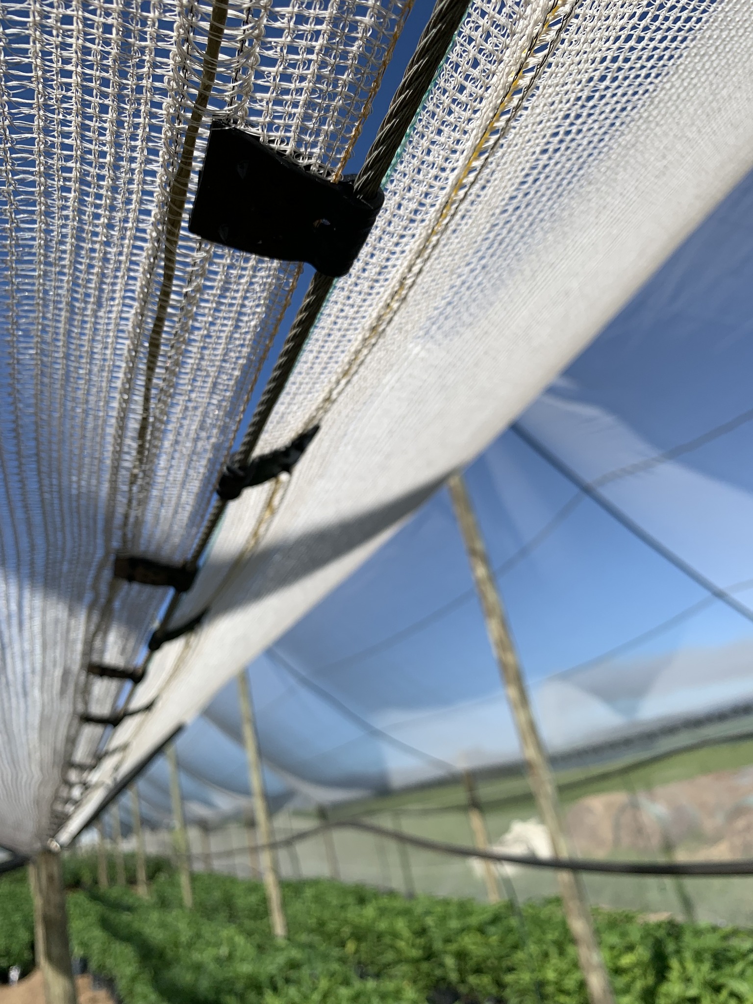 ShadeNet - WATCH THIS SPACE Shade Net Essentials, a division of Klips n ...