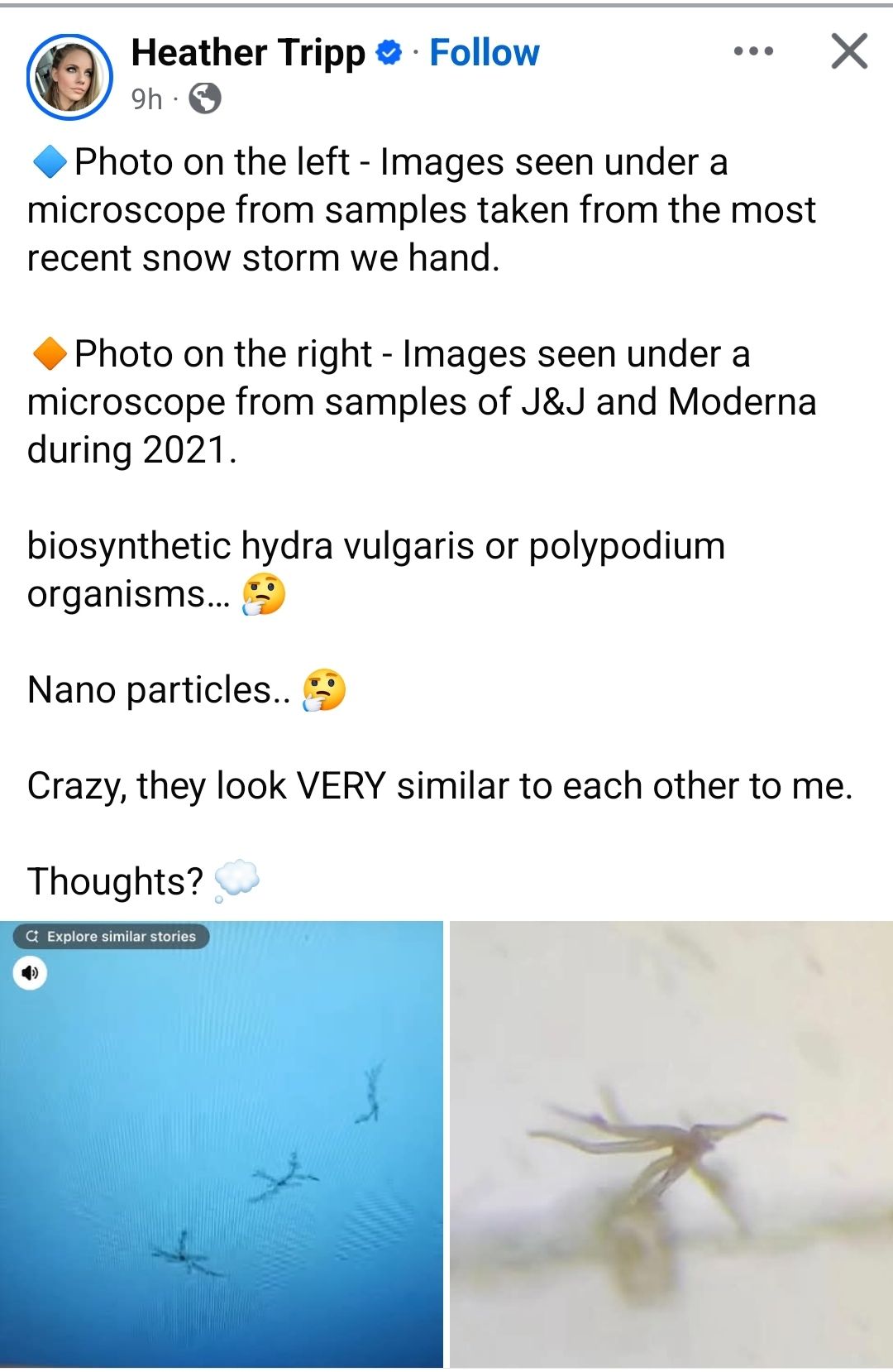 Shore - This snowfall was very strange 🥴 | Facebook