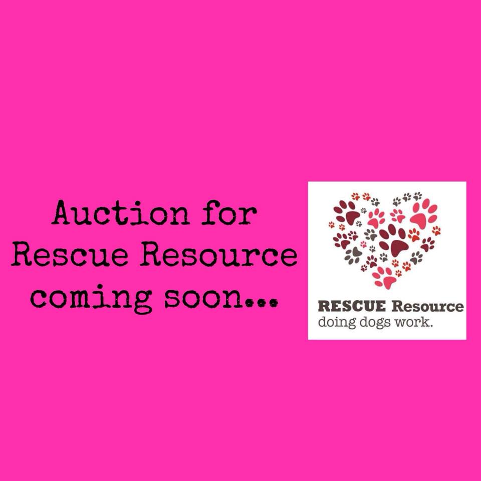 Our fundraising auction is now open,... - Rescue Resource NSW | Facebook