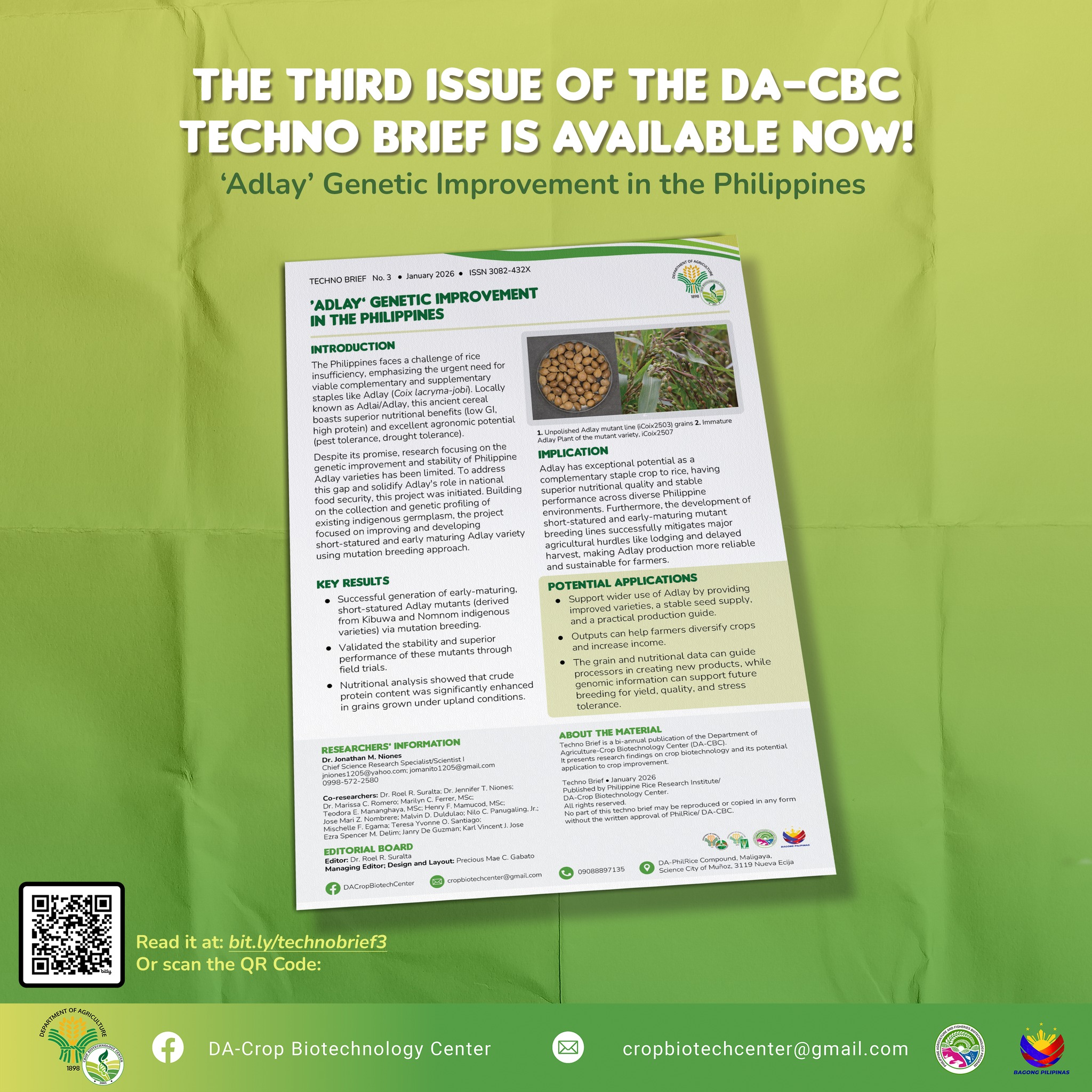 DA-Crop - 𝗪𝗵𝗮𝘁'𝘀 𝗡𝗲𝘄 𝗶𝗻 𝗖𝗿𝗼𝗽 𝗕𝗶𝗼𝘁𝗲𝗰𝗵 𝗥𝗲𝘀𝗲𝗮𝗿𝗰𝗵: Improved Adlay varieties ...