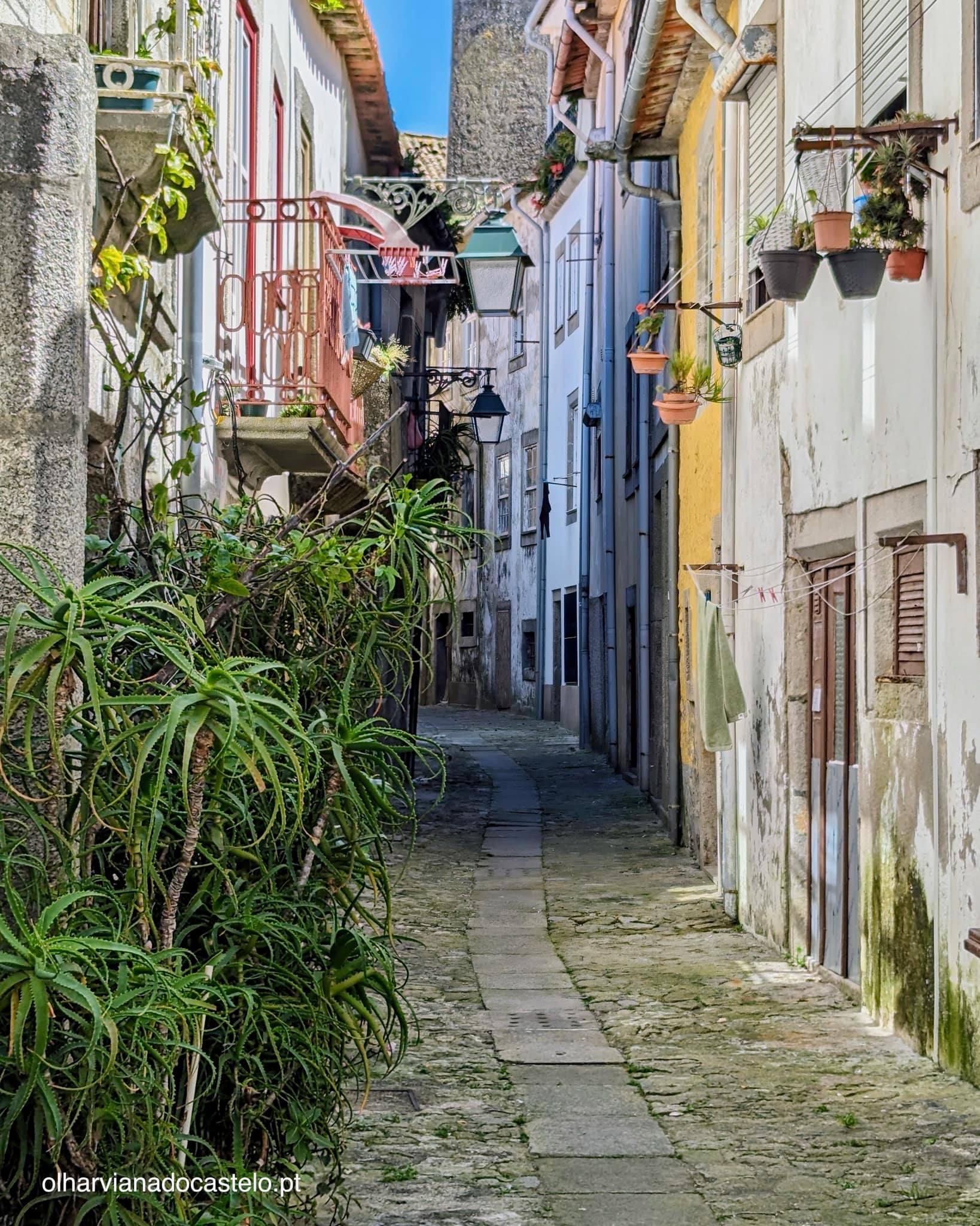 Olhar - Até amanhã, Viana do Castelo! Esta artéria do centro histórico ...