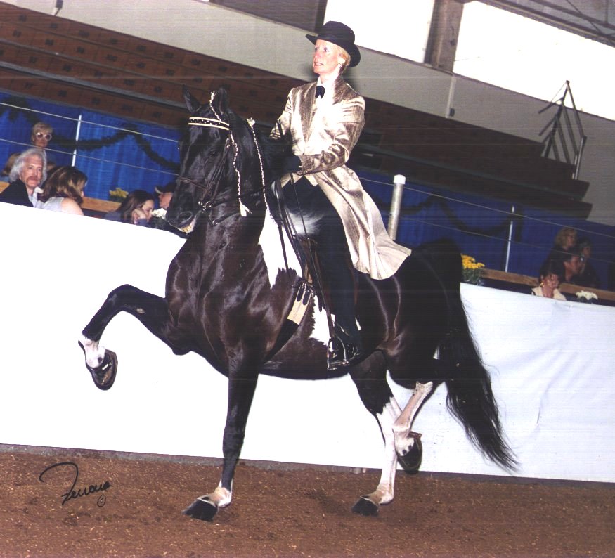 Here's... - Hepner-Hart Horse Training at GlenMar Farms | Facebook