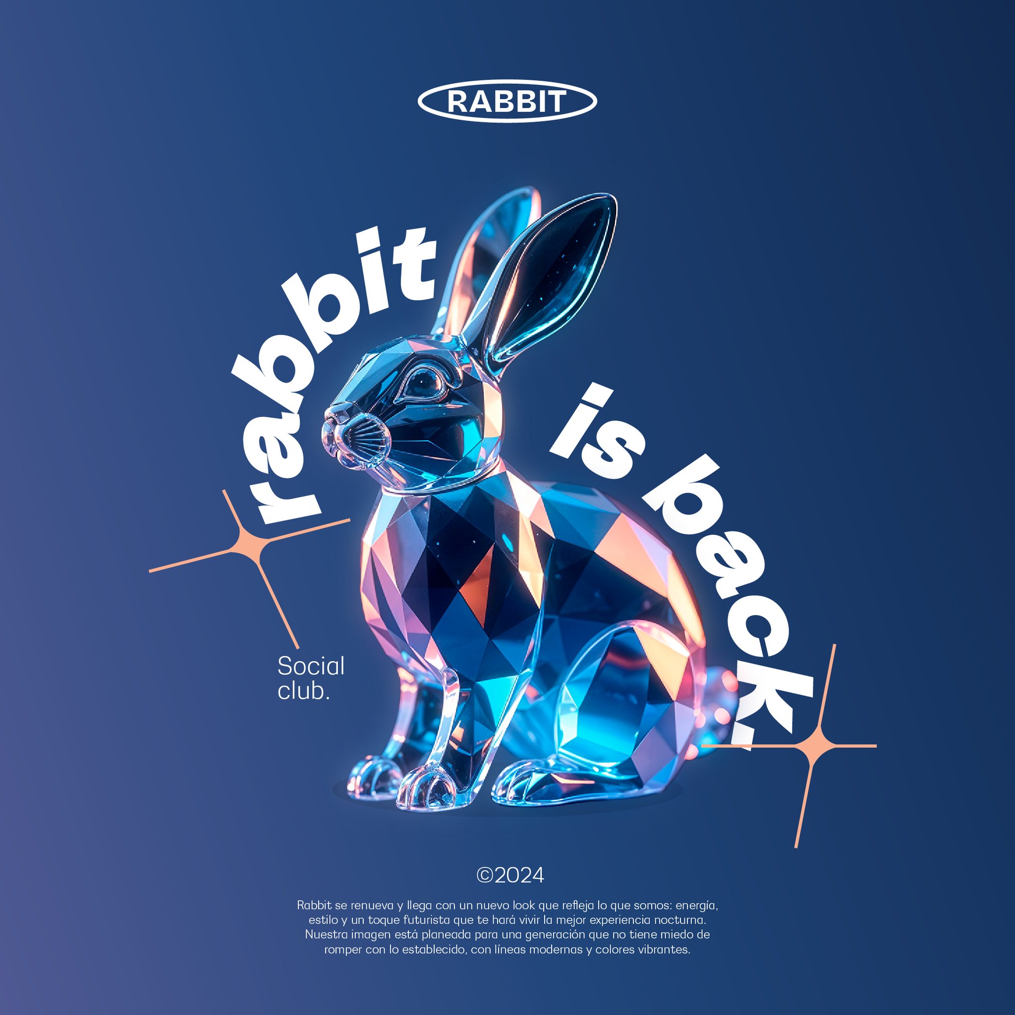 The Rabbit Terraza | Pachuca