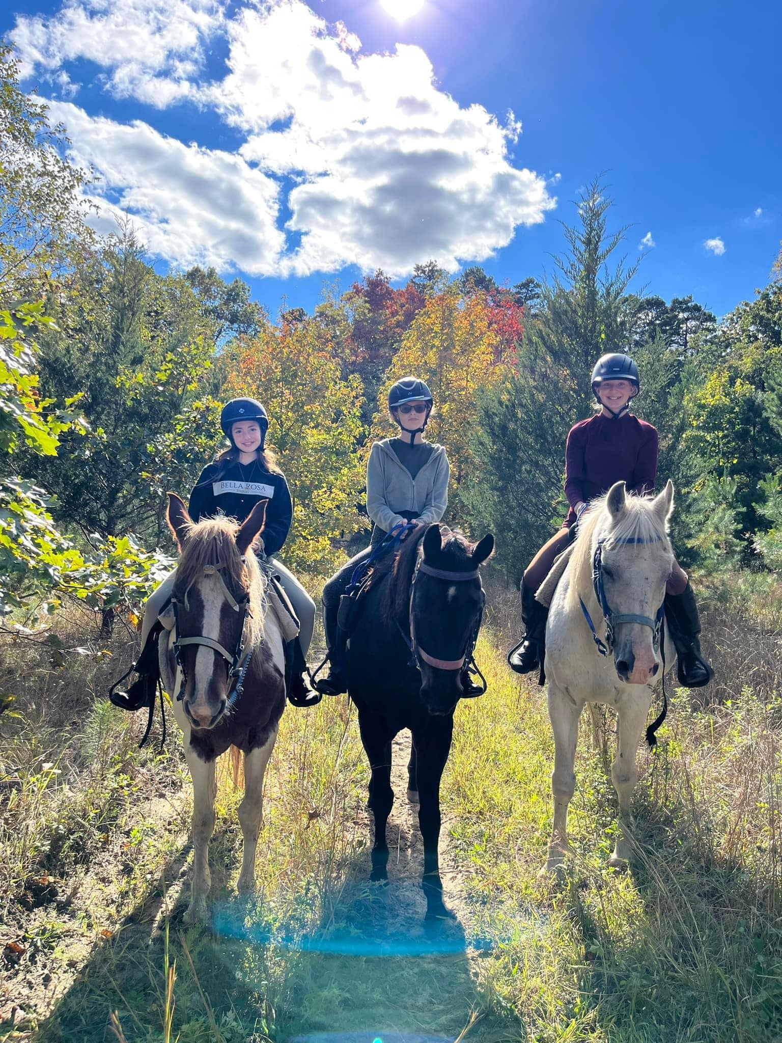 breezy-meadow-equestrian-centre-riding-instruction-and-trail-riding