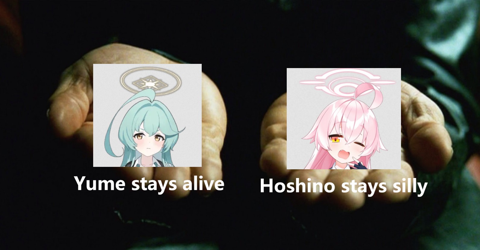 Hoshino ❤️💕