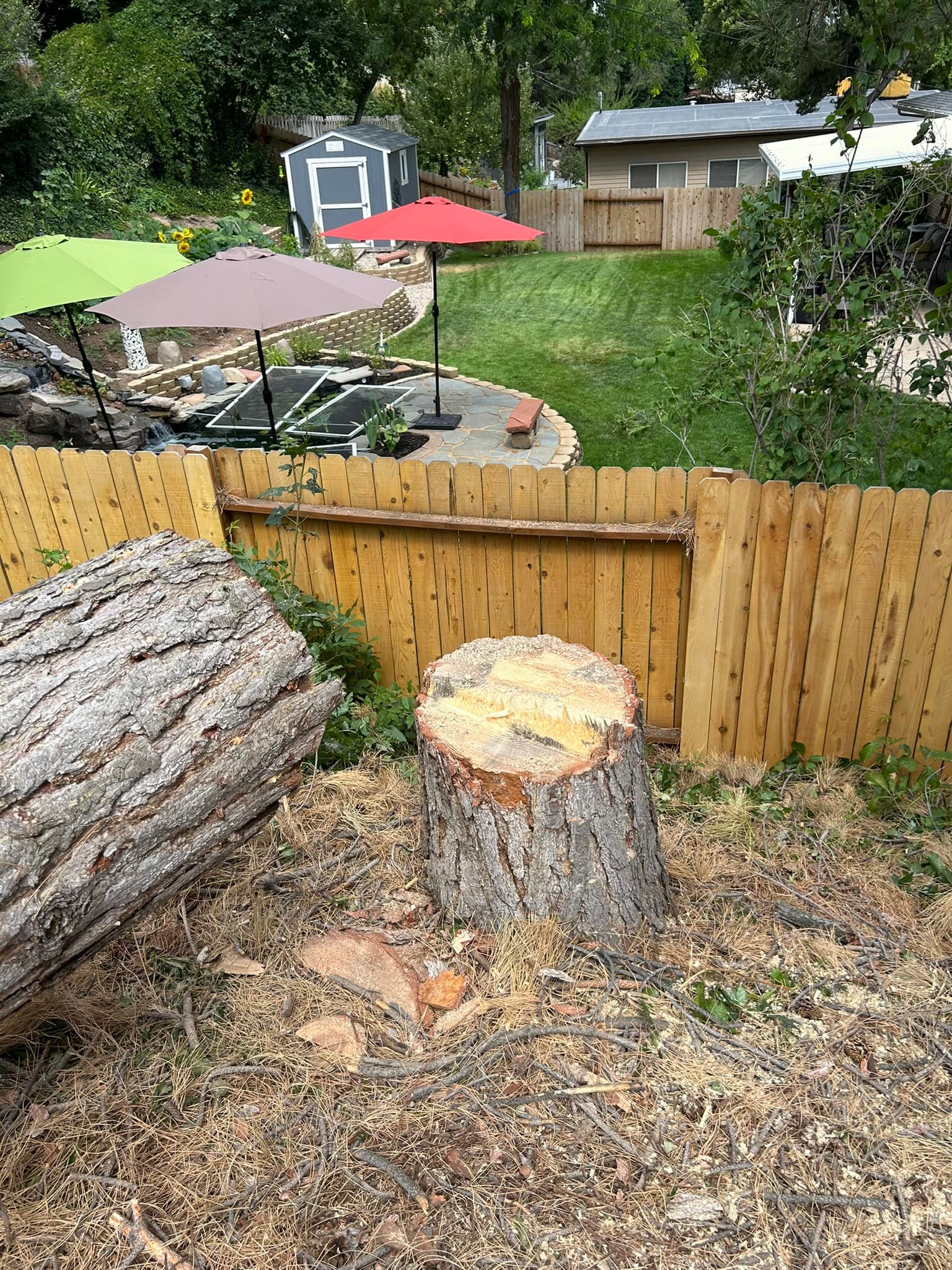 Weber Davis Tree Service | Ogden UT