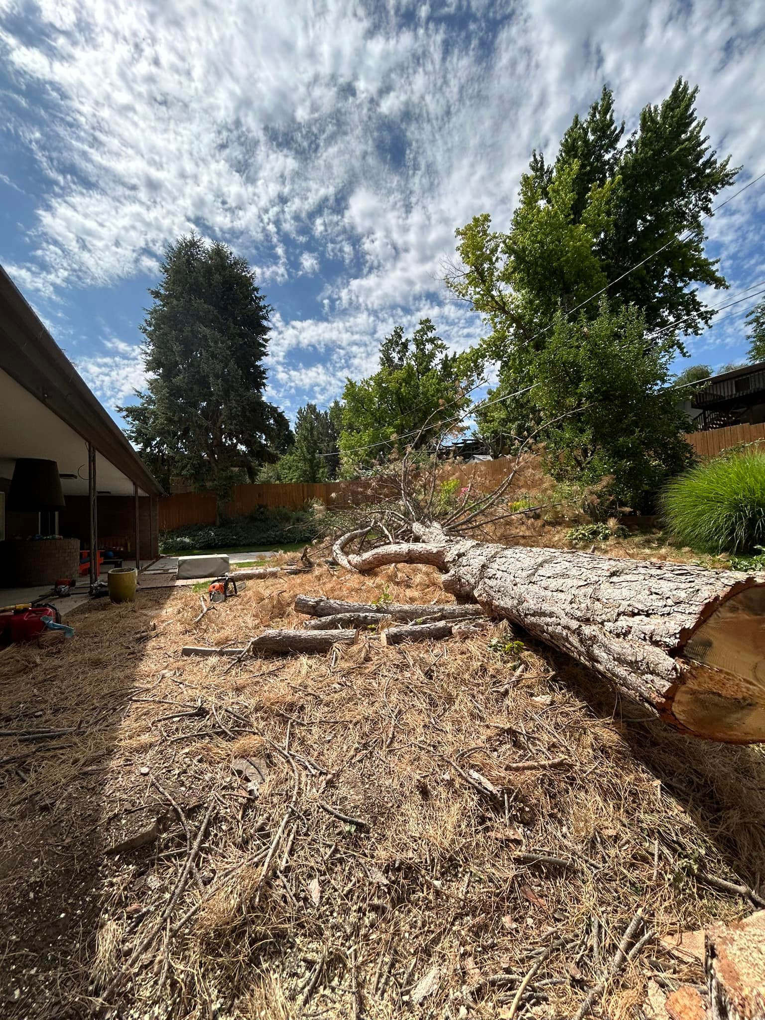 Weber Davis Tree Service | Ogden UT