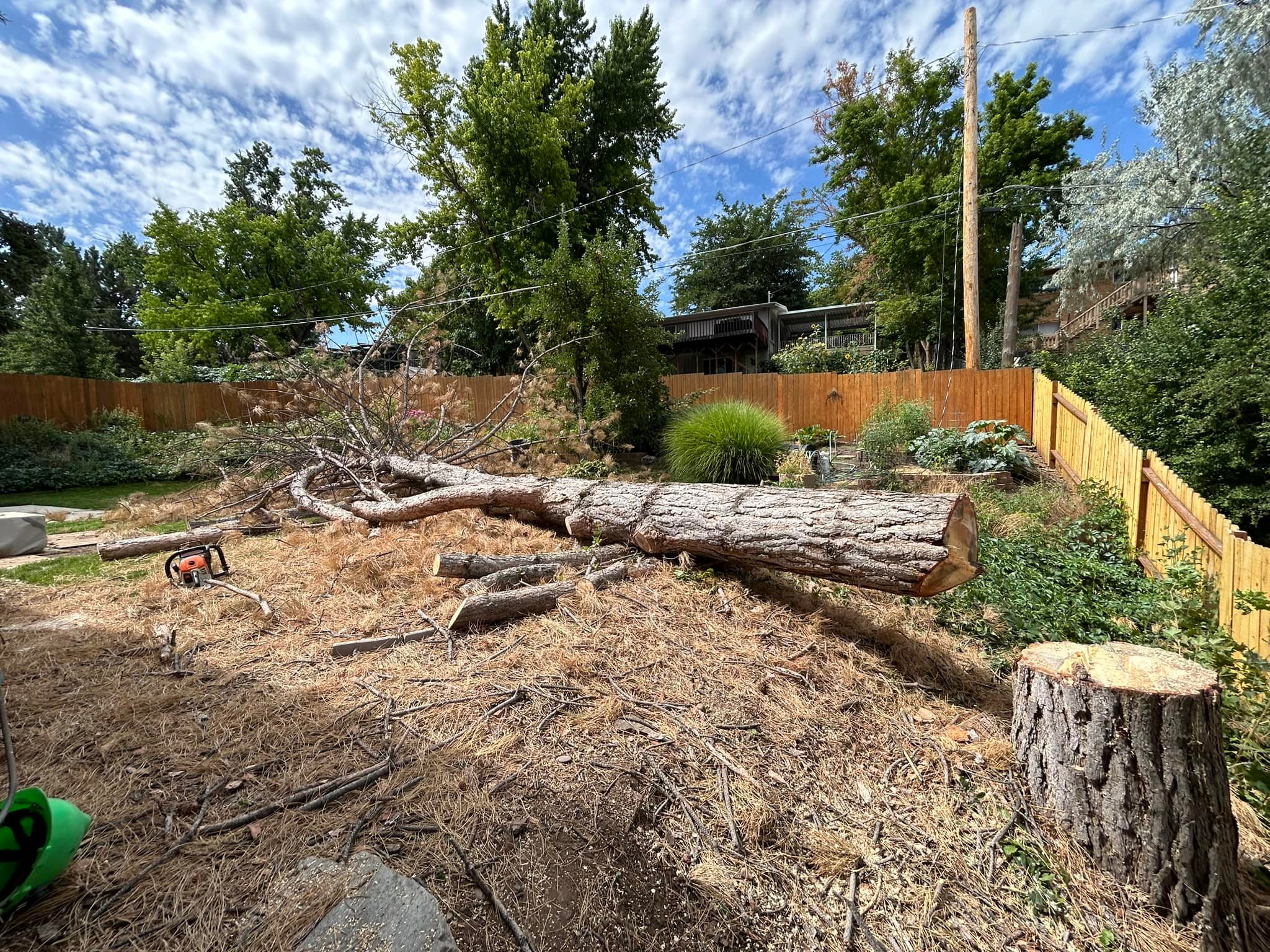 Weber Davis Tree Service | Ogden UT