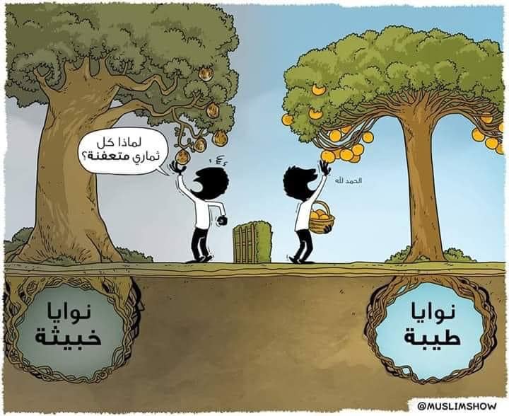 Daily Quran Strips ضرب الله مثلا كلمة طيبة كشجرة طيبة أصلها ثابت وفرعها في السماء تؤتي أكلها كل حين بإذن ربها ويضرب الله الأمثال للناس لعلهم يتذكرون ومثل كلمة
