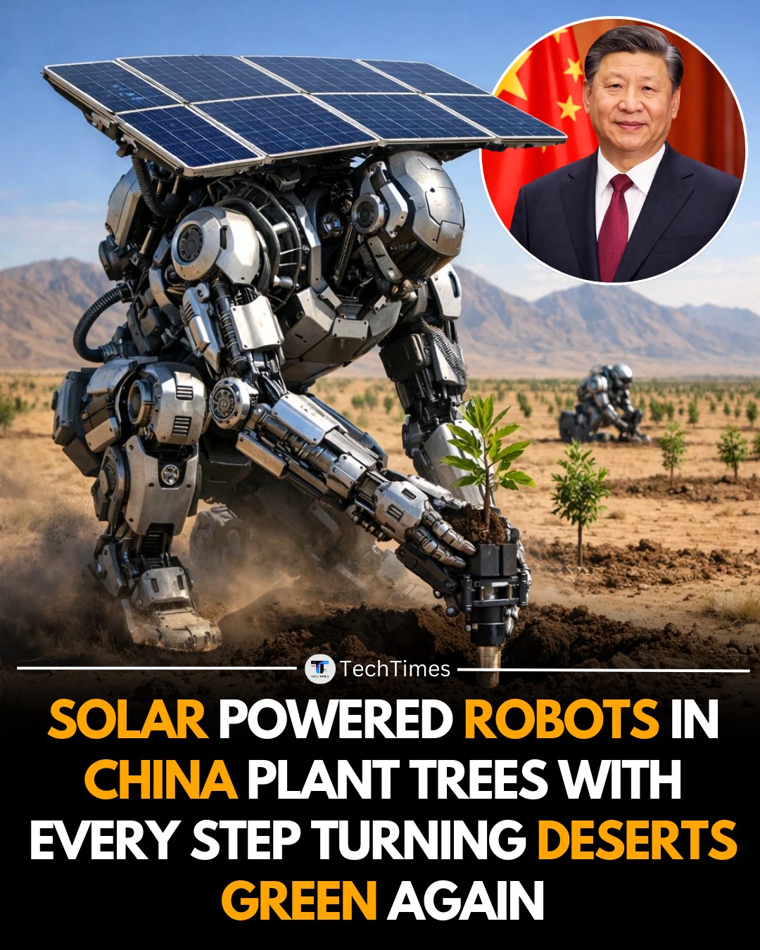 TechTimes - SOLAR-POWERED ROBOTS IN CHINA ARE BEING USED TO PLANT TREES ...