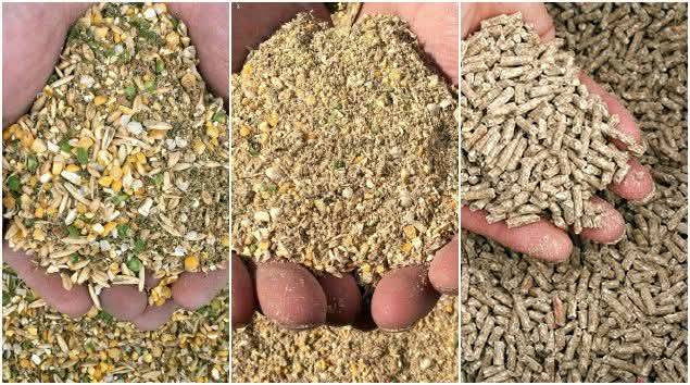 Dr. - LAYER'S FEEDS? Here’s a formulation guide based on expert ...