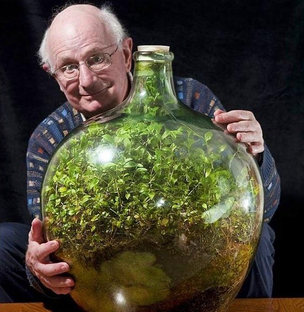 Im Jahr 1960 pflanzte David Latimer einen kleinen Garten in eine große Glasflasche und verschloss sie. Zwölf Jahre später, 1972, öffnete er die Flasche, fügte etwas Wasser hinzu und verschloss sie dan