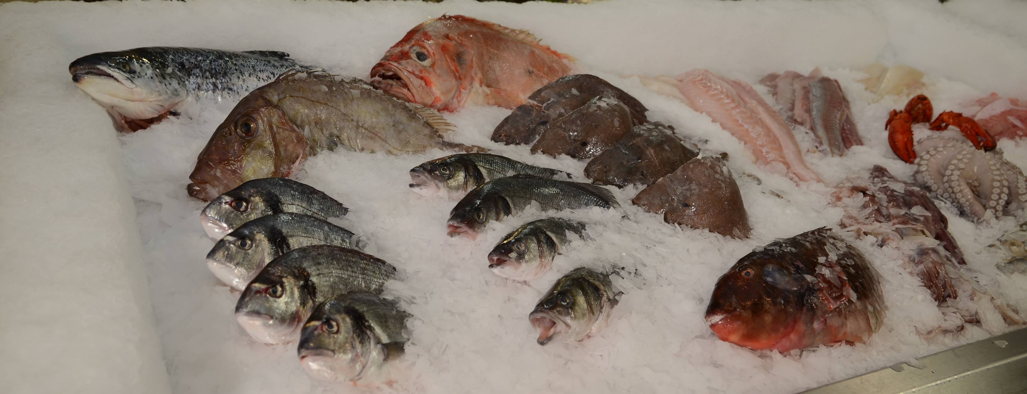 Pescados Fisch Groß-und Einzelhandel - Egal Thunfischfilet Sashimi ...