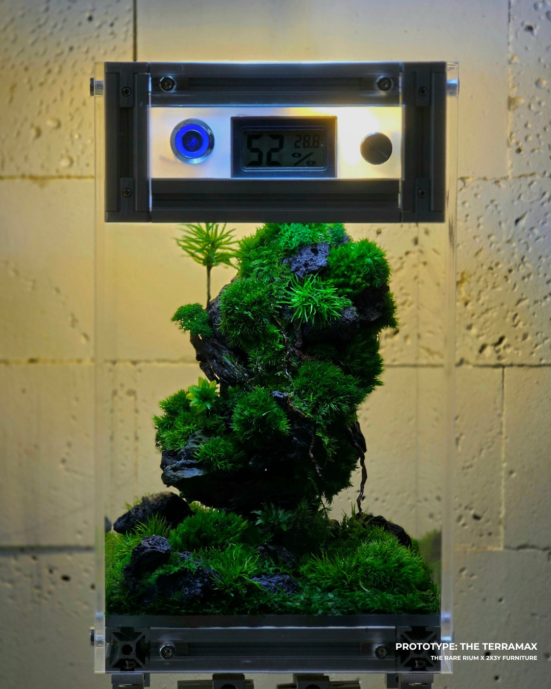 The Rare Rium - Plant &... - The Rare Rium - Plant & Moss Art