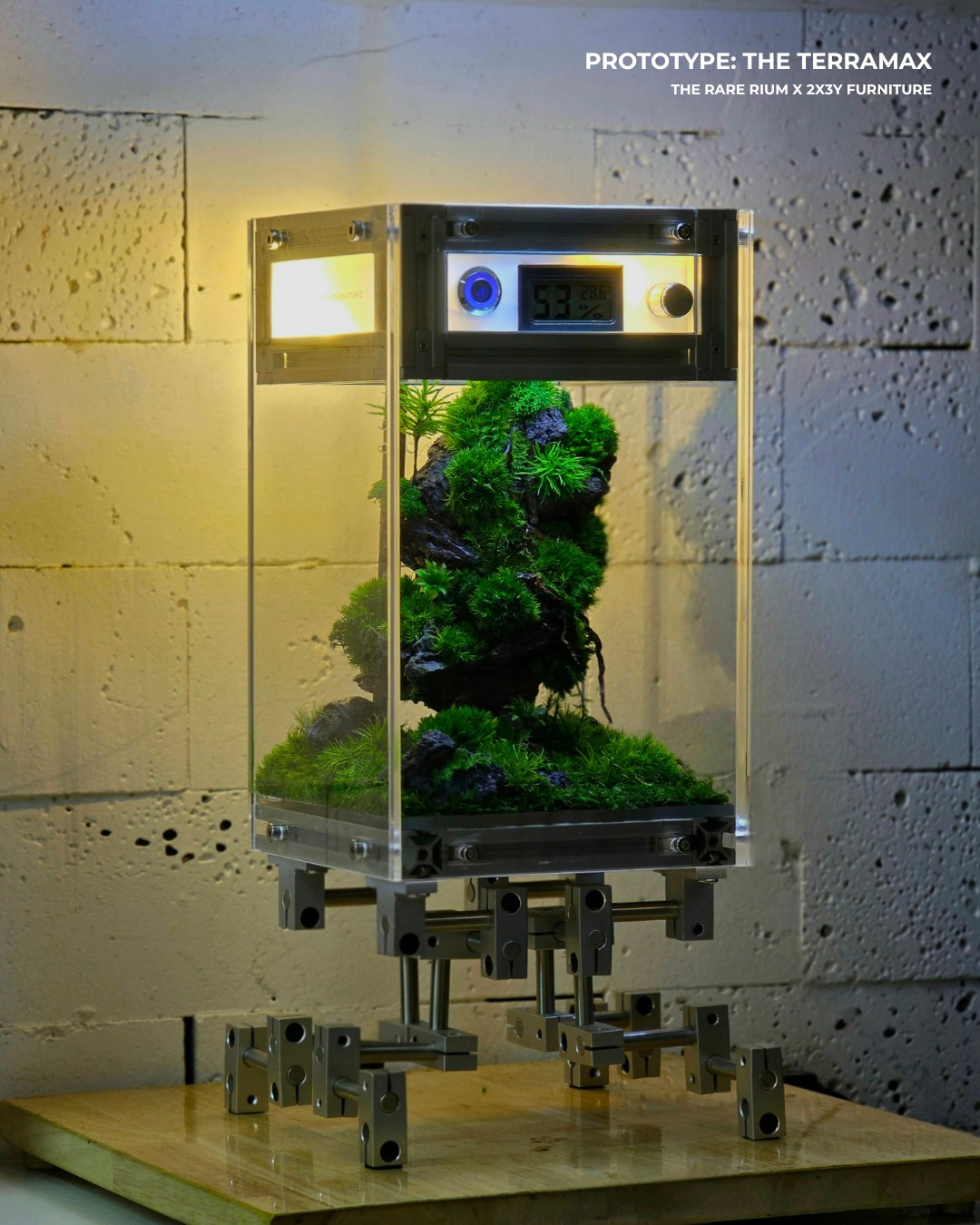 The Rare Rium - Plant &... - The Rare Rium - Plant & Moss Art