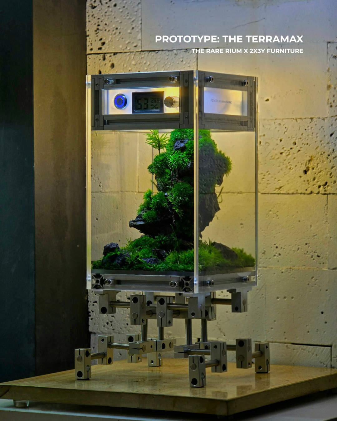 The Rare Rium - Plant &... - The Rare Rium - Plant & Moss Art
