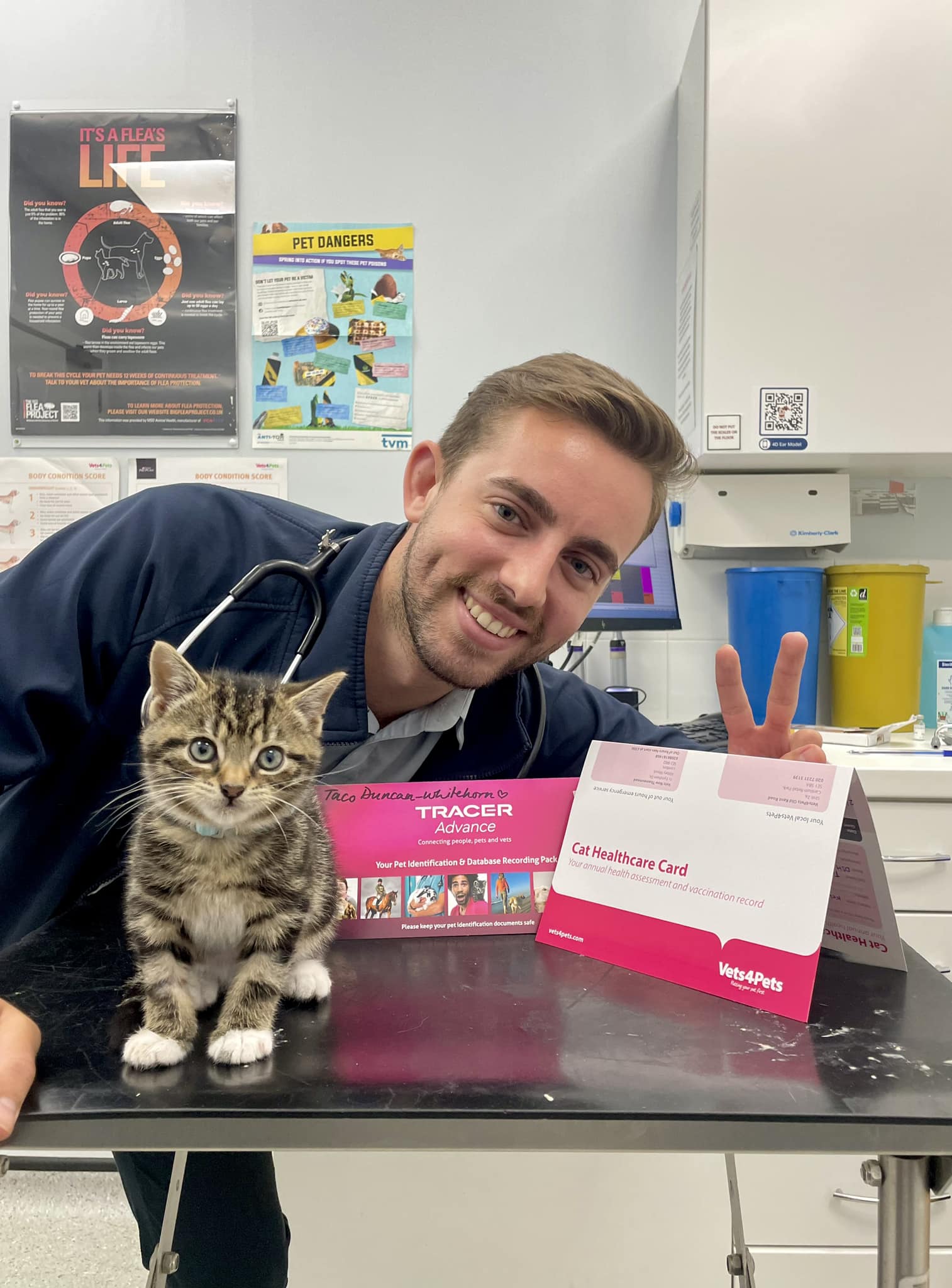 Vet Clinic Companion Care Vets High Wycombe Hot Vets For Pets Old
