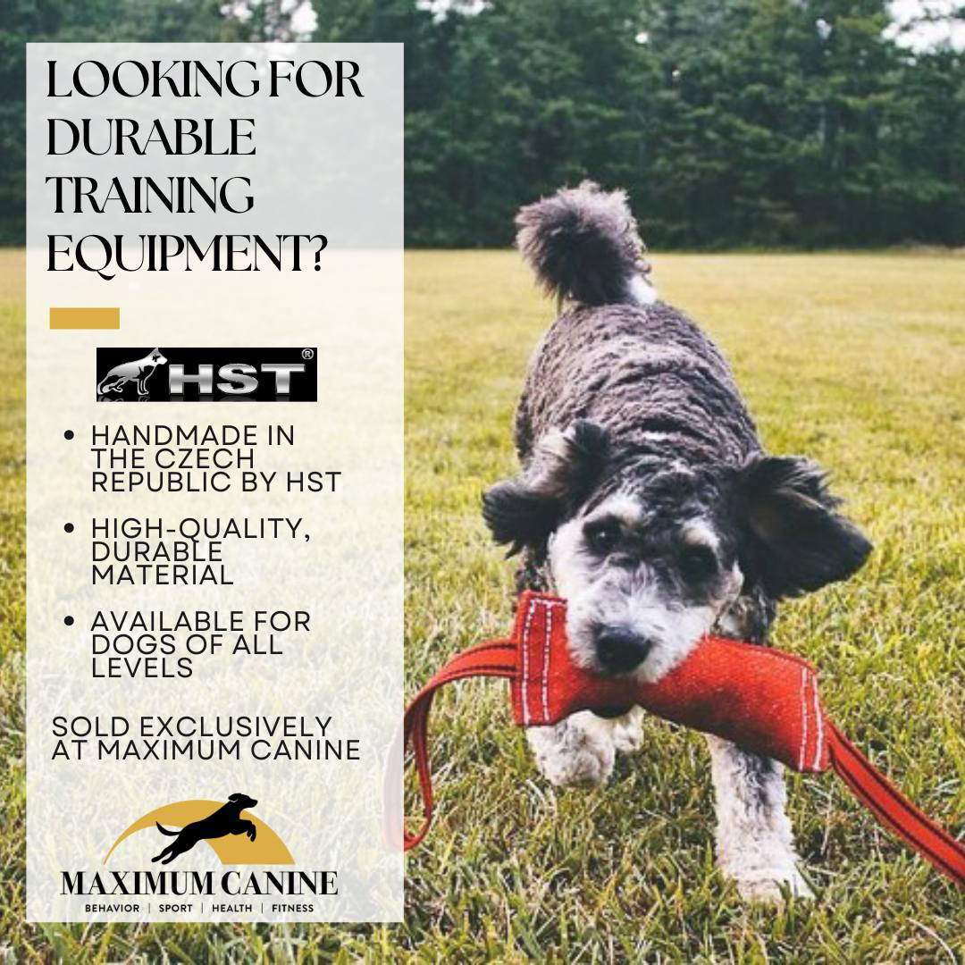 Maximum - HST: High-quality training equipment tailored for your dog ...