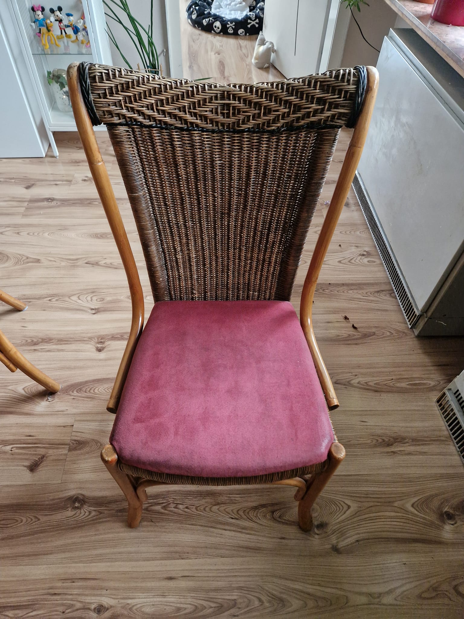 Esszimmerstühle zu Verkaufen. Gut gebraucht, sehr stabil mit Sitzauflage