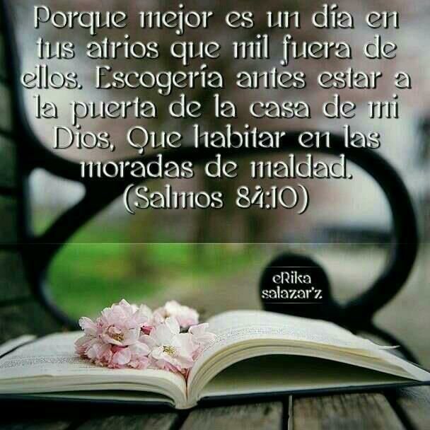 Marcela Gandara Musica Cristiana Posts Facebook marcela gandara musica cristiana