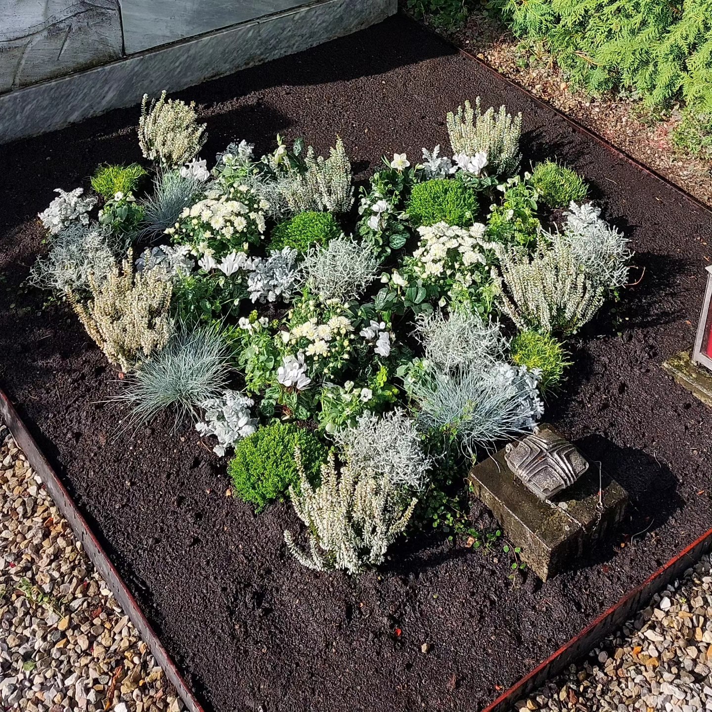 Grabbepflanzungen zu Allerheiligen 🩶💚💜🧡❤️ Wir wünschen Euch einen wundervollen Sonntag 🙂 #grabpflege #grabgestaltung #grabgestaltung # Allerheiligen #Herbst #Floristik #gartenpflege #biologischeunkra