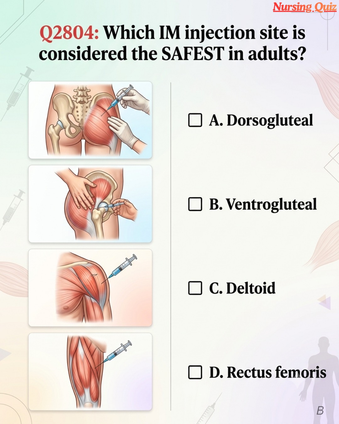 vitamin b12 injection in ventrogluteal site What is the safest IM adults? Deltoid
