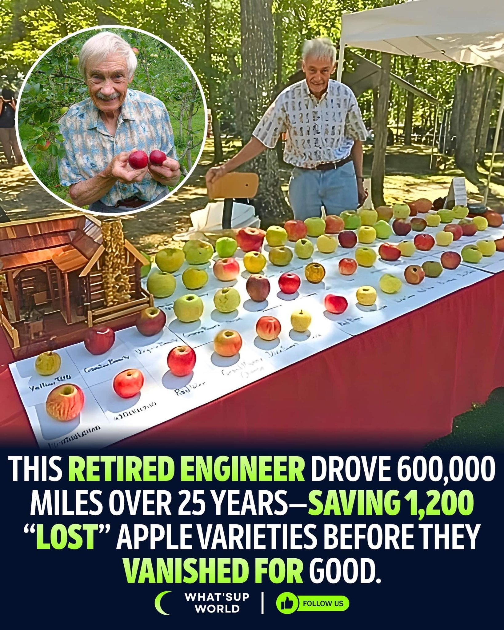 Back in 1998, a retired chemical engineer named Tom Brown stopped