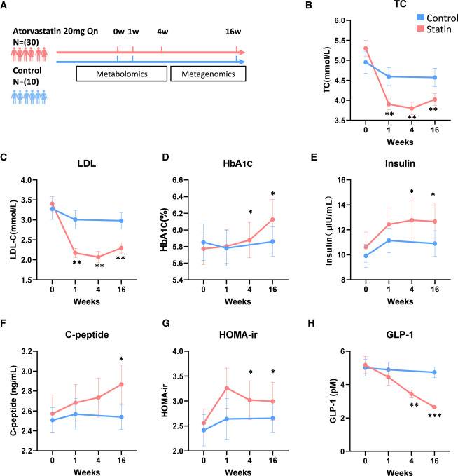 Do GLP-1 medications affect cholesterol levels?