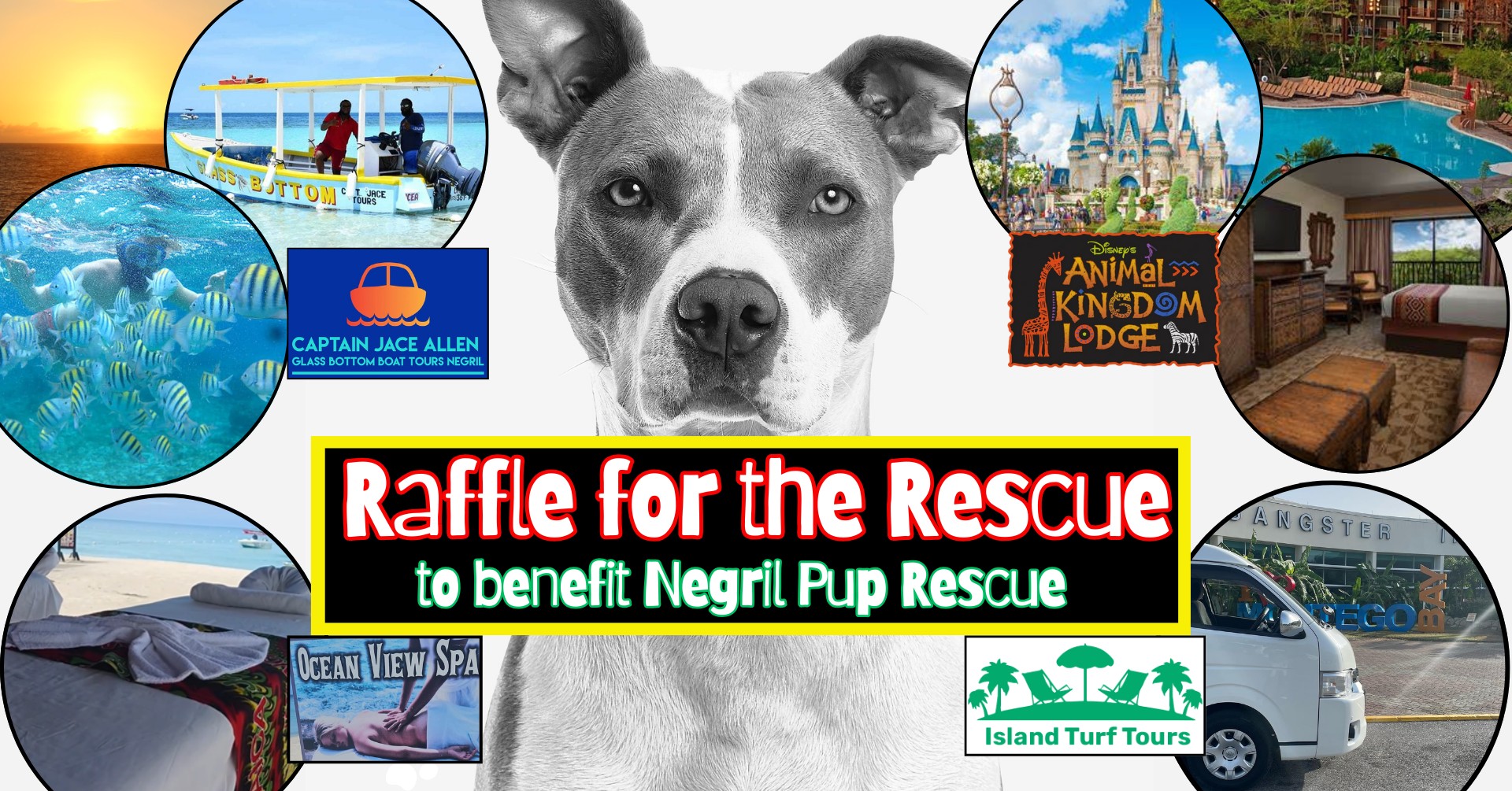 Raffle for the Rescue