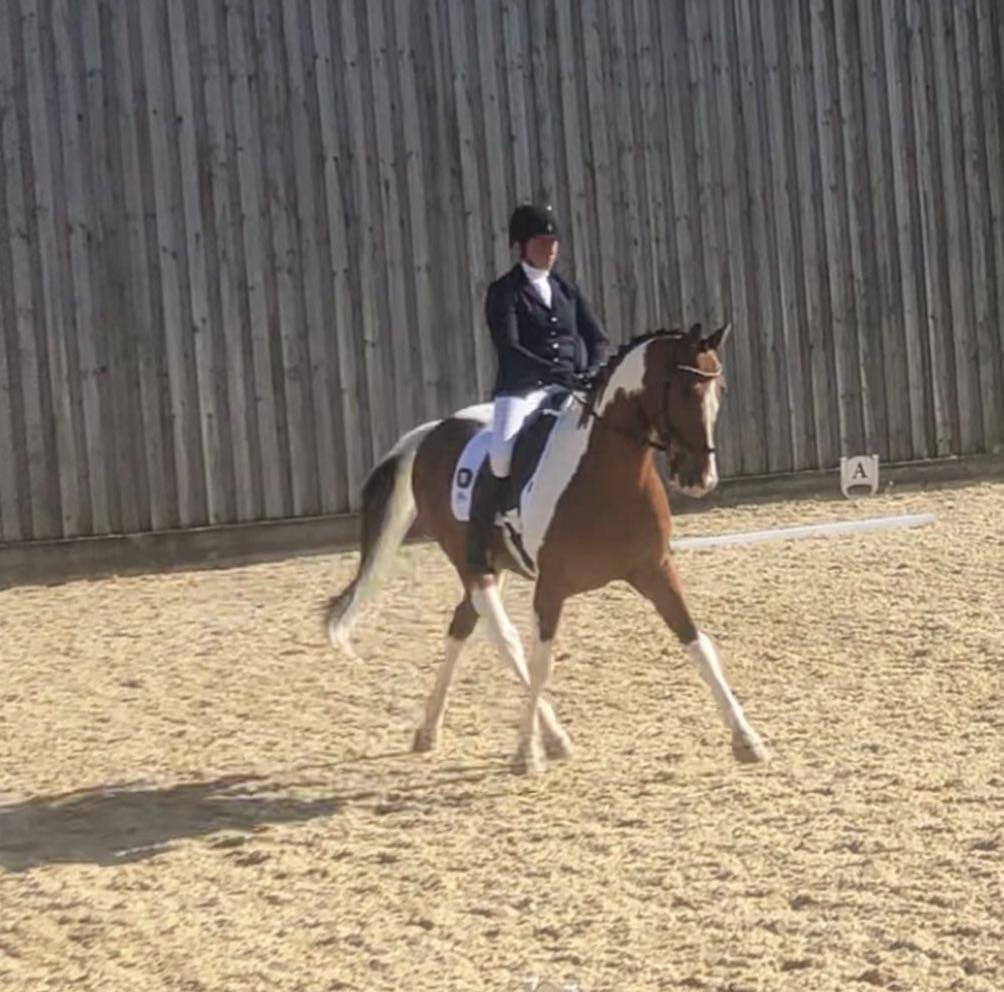 Steph Robson Equestrian | York