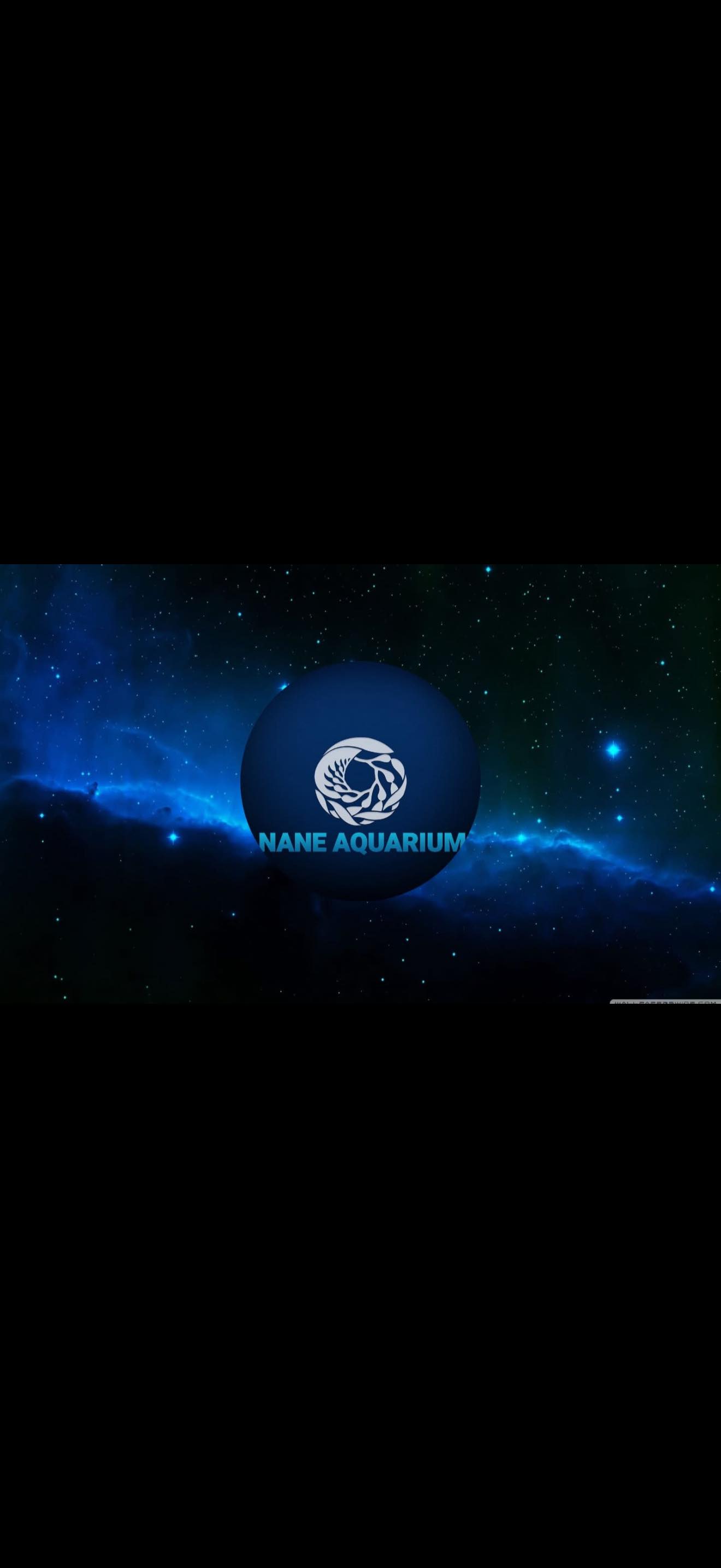 NaNe Aquarium