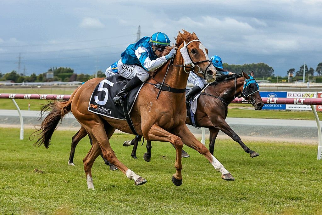 RESULTS 07/02/2026 WINGATUI RACES 📸... - Taipa Tiger Racing | Facebook
