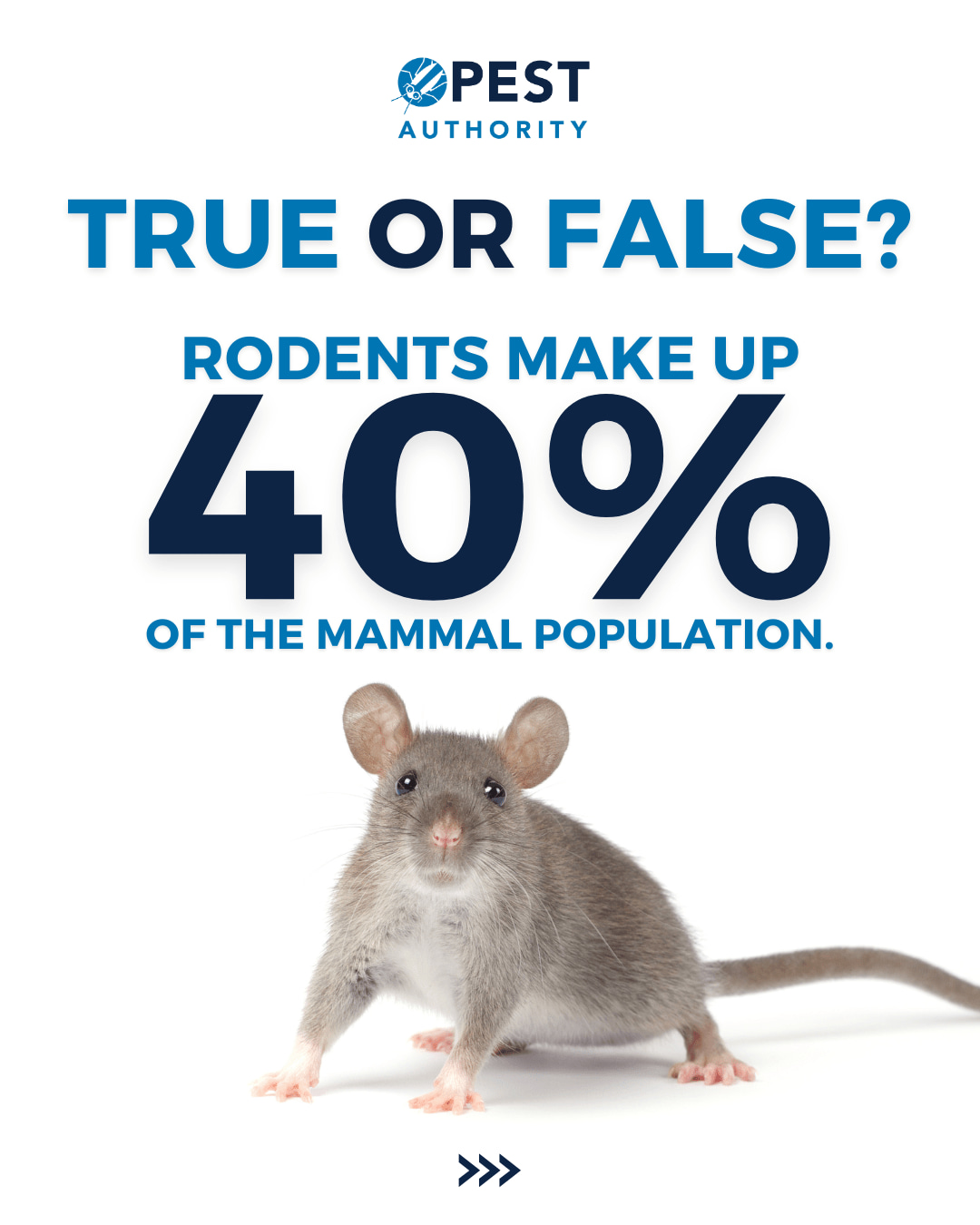 Pest Authority - Let's test your pest knowledge! True or... | Facebook