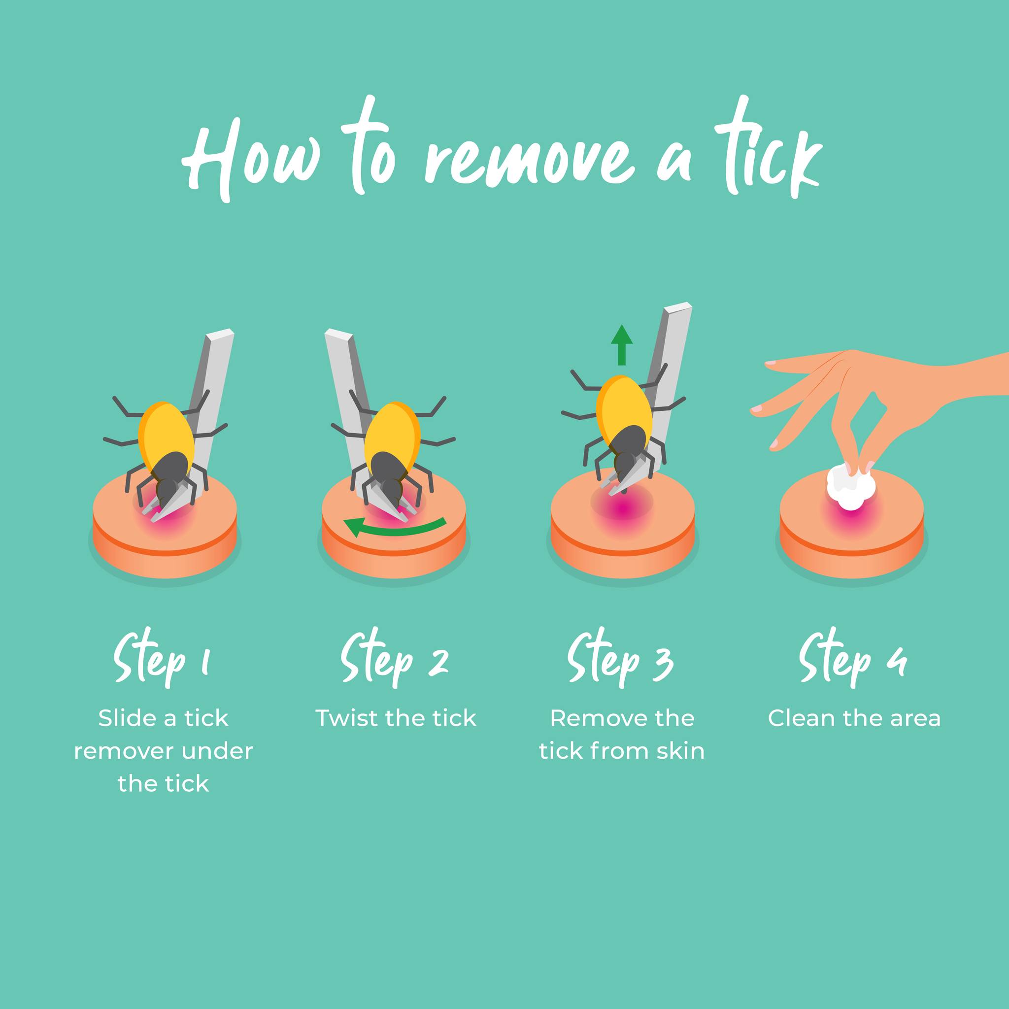 Park Vet Group - 🦟 TICKS ,TICKS, TICKS If you have...