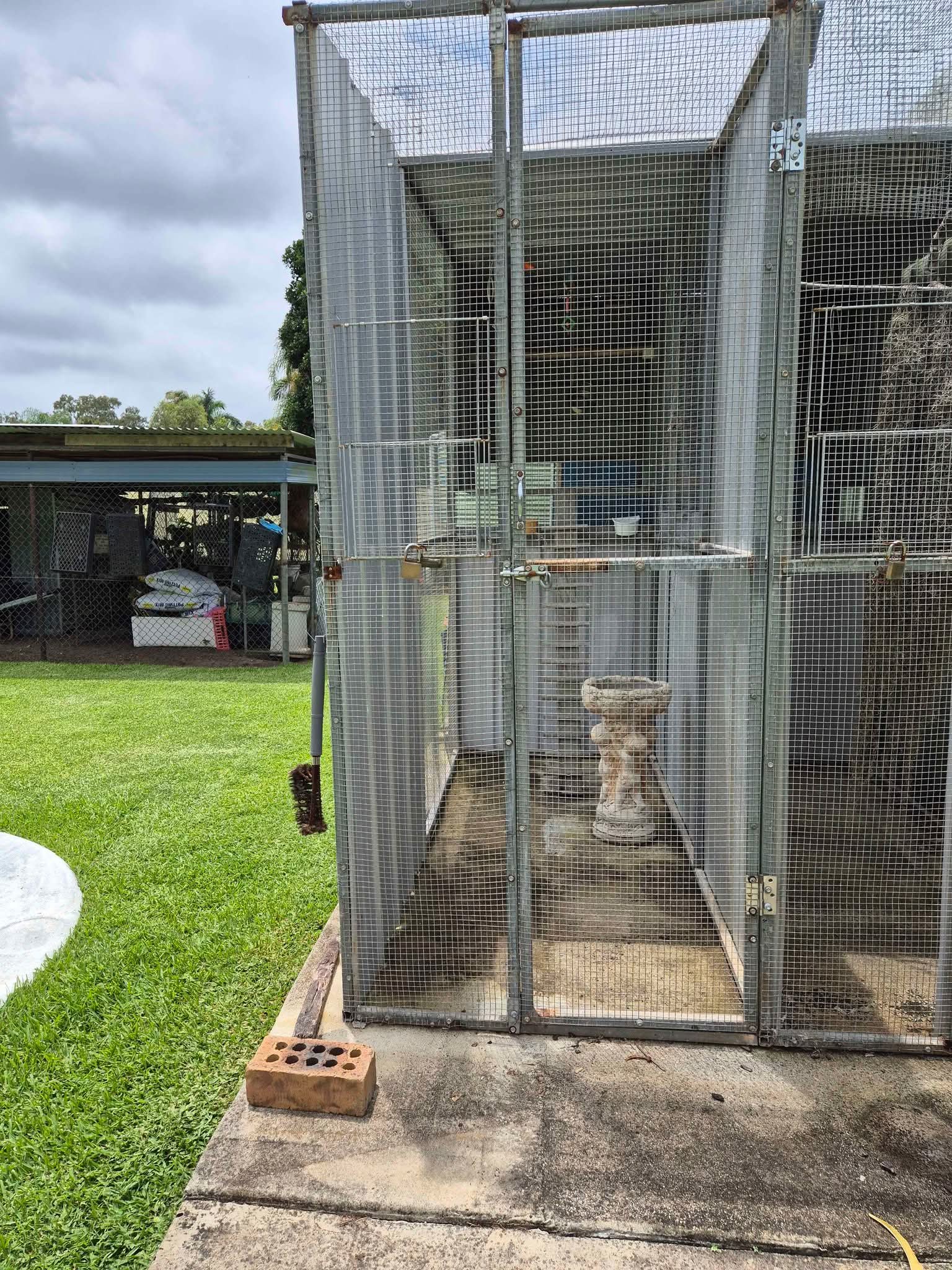 Bird Avery's - Bird Supplies - Rothwell, Queensland | Facebook Marketplace