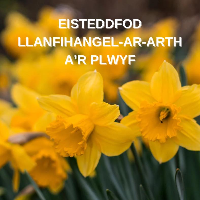 ️Canlyniadau... - Eisteddfod Llanfihangel-ar-arth a'r Plwyf | Facebook