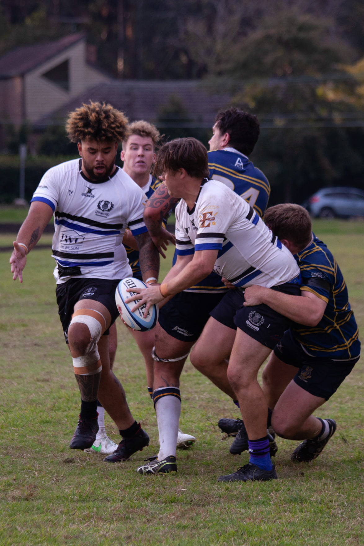 Knox Rugby Club - Knox Rugby Club added a new photo.