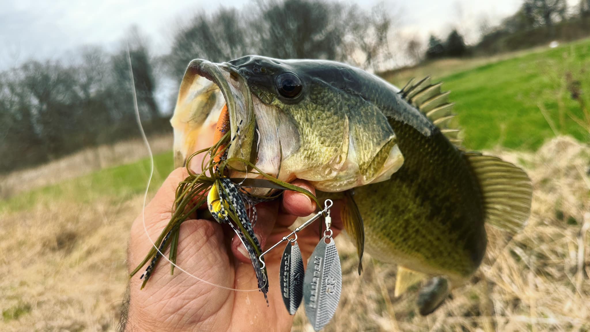catch 22 fishing lure Llungen Lures .22 Long  Team Rhino Outdoors LLC Walleye and Bass Llungen Lures .22 Short SS
