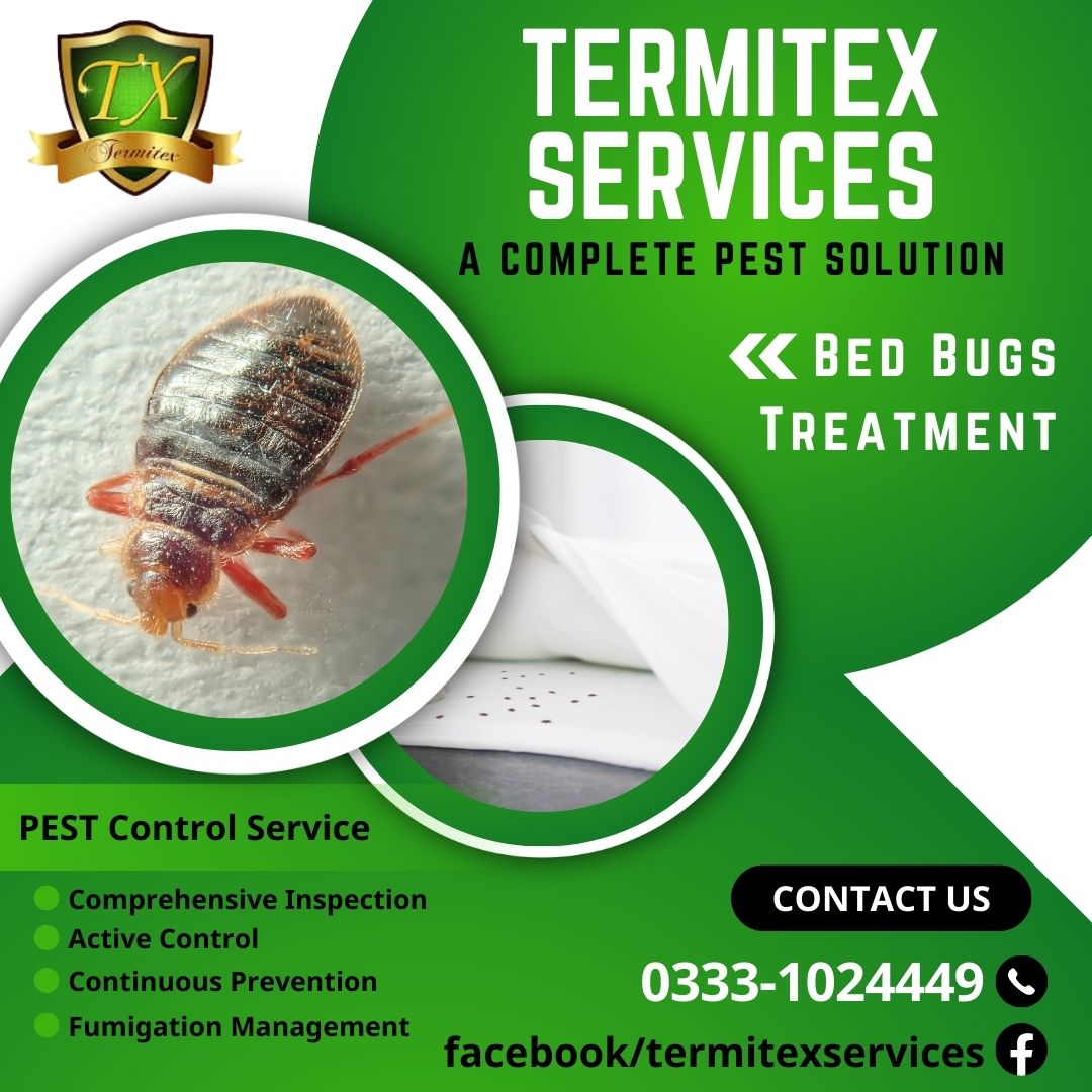 Termitex Services | Karachi