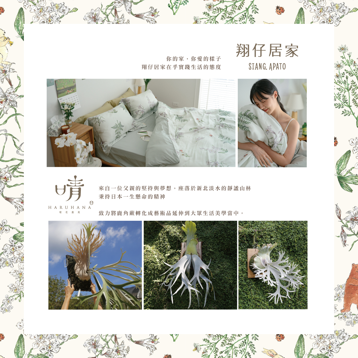 翔仔居家 - 翔仔居家 X 晴花鹿苑 居家生活 X 鹿角蕨 跨界展覽 跳脫傳統框架賦予生活美學不同印象... | Facebook