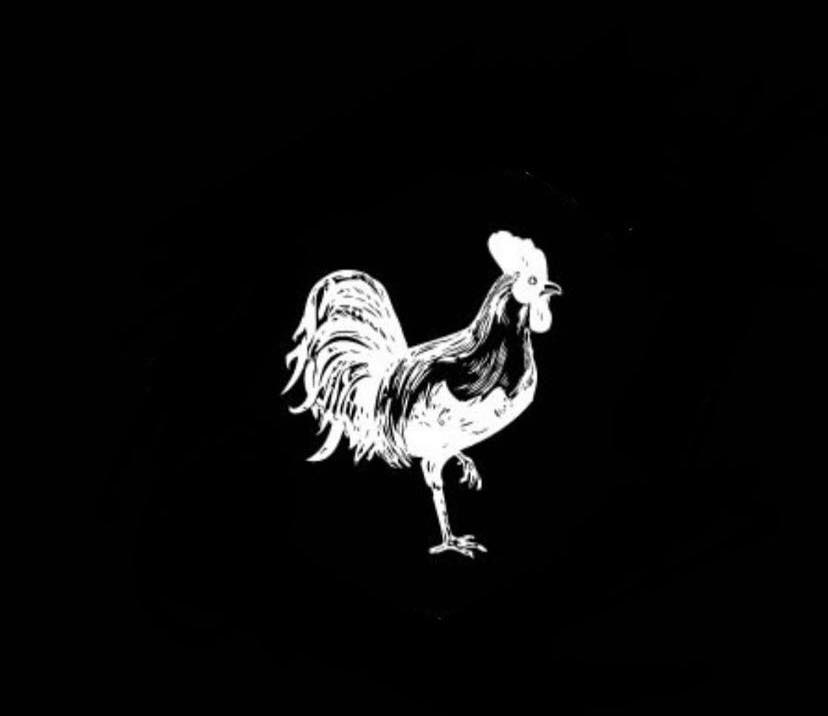 Pollos 