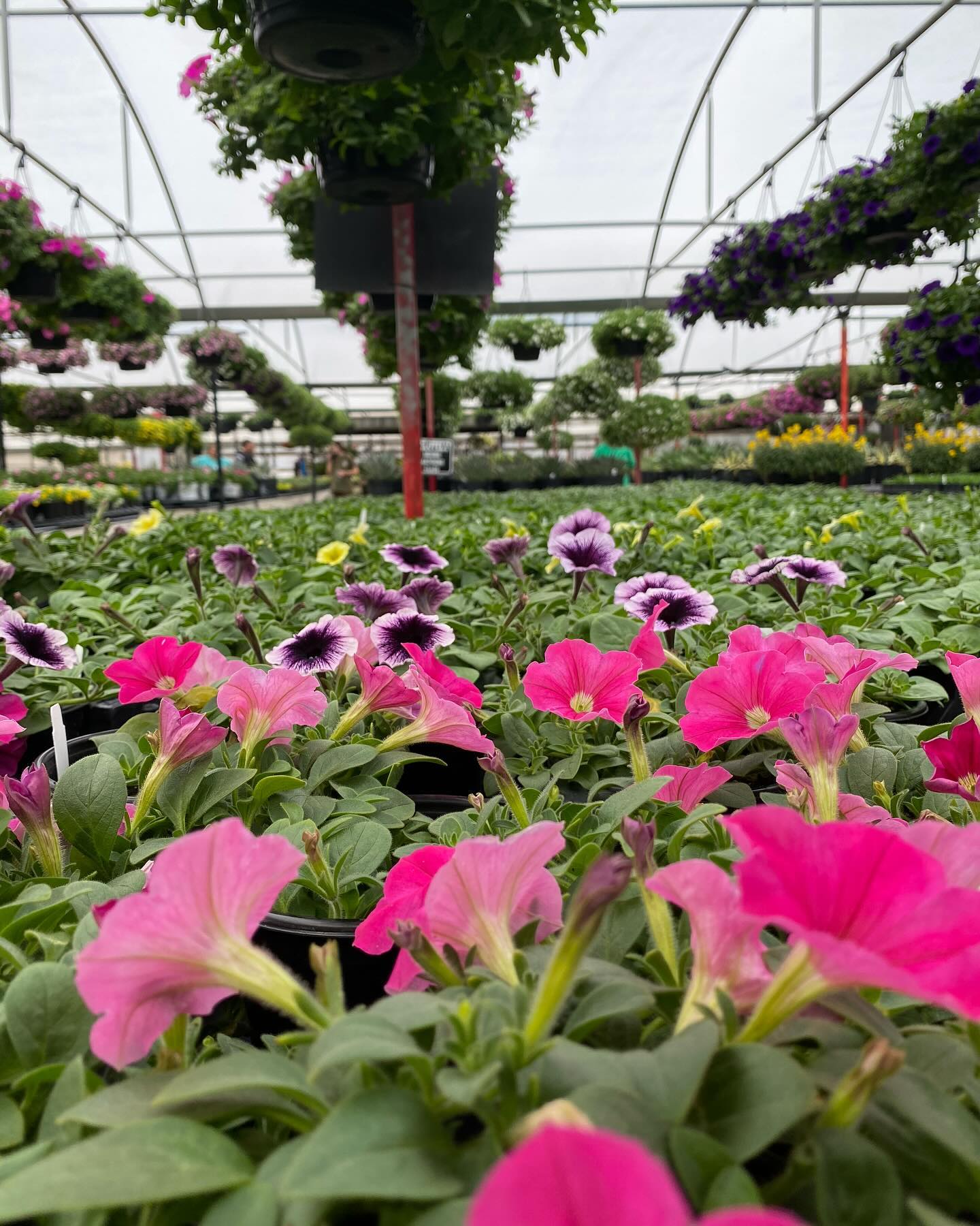 We’re gearing up for another lovely... - The Flower Ranch | Facebook