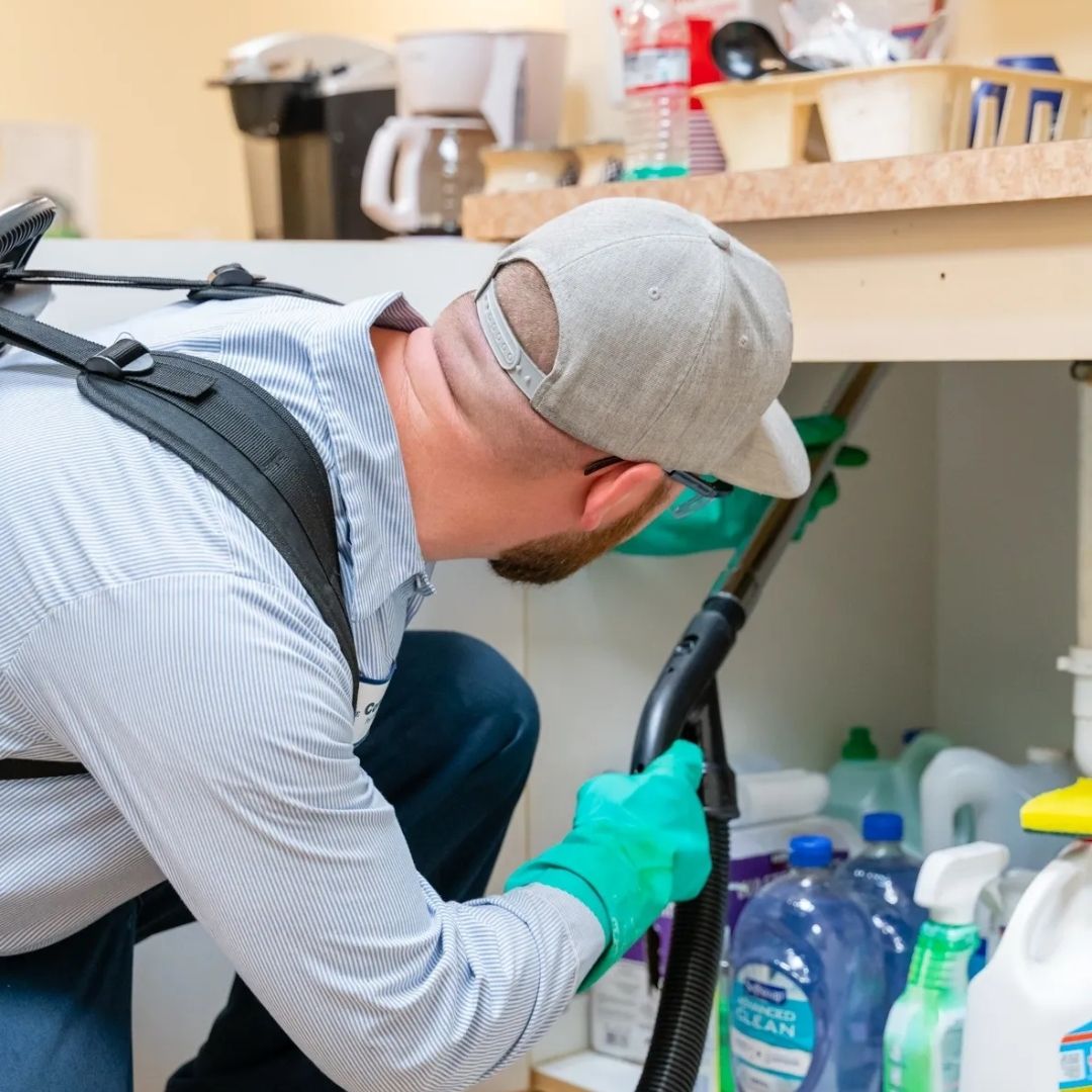 Did you know our rates are 20%... - Compass Pest Management