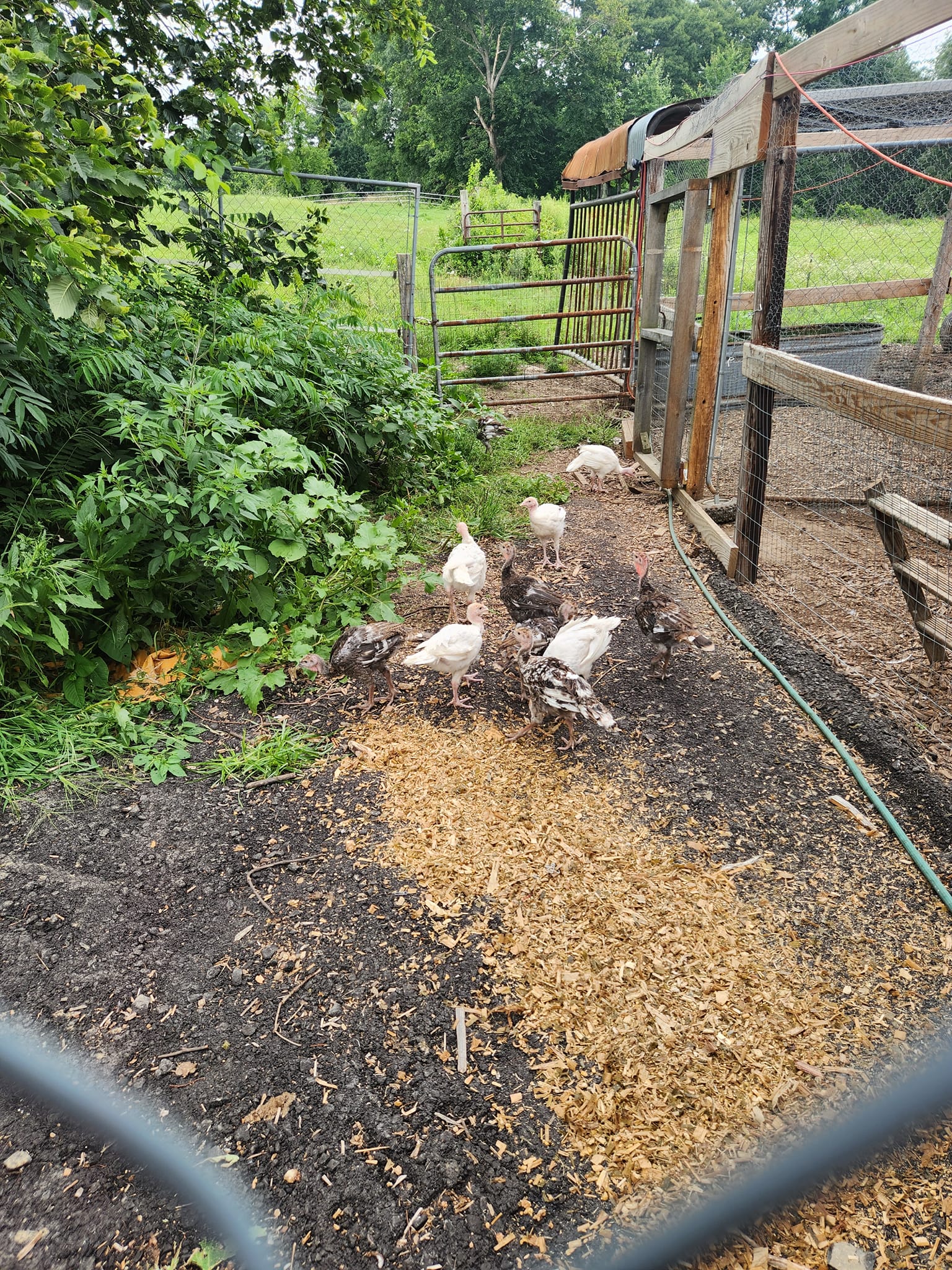 Rusted Roots Farm & Orchard