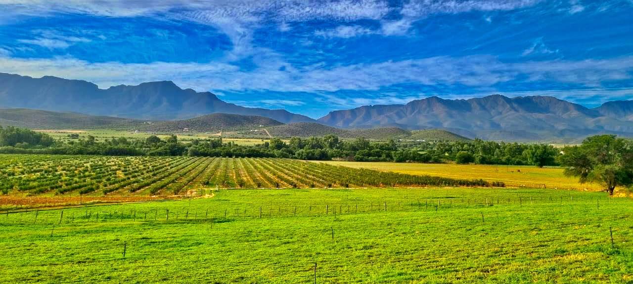 7.1Ha Arable Klein Karoo Pomegranate Farm Land, De Rust, Oudtshoorn