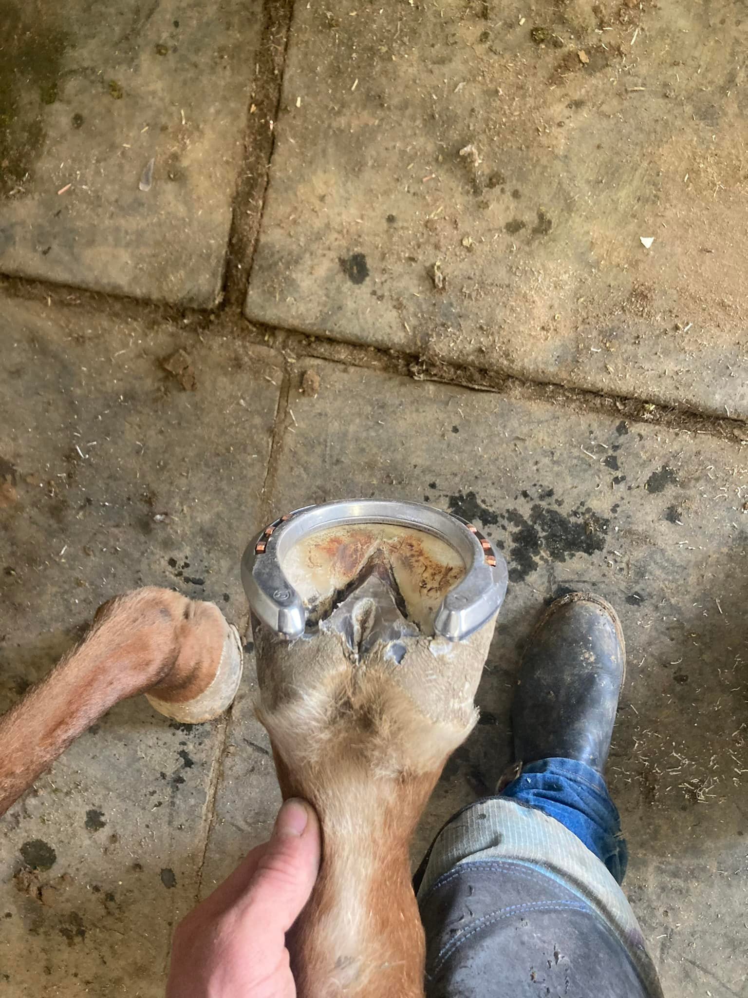Running H Ranch